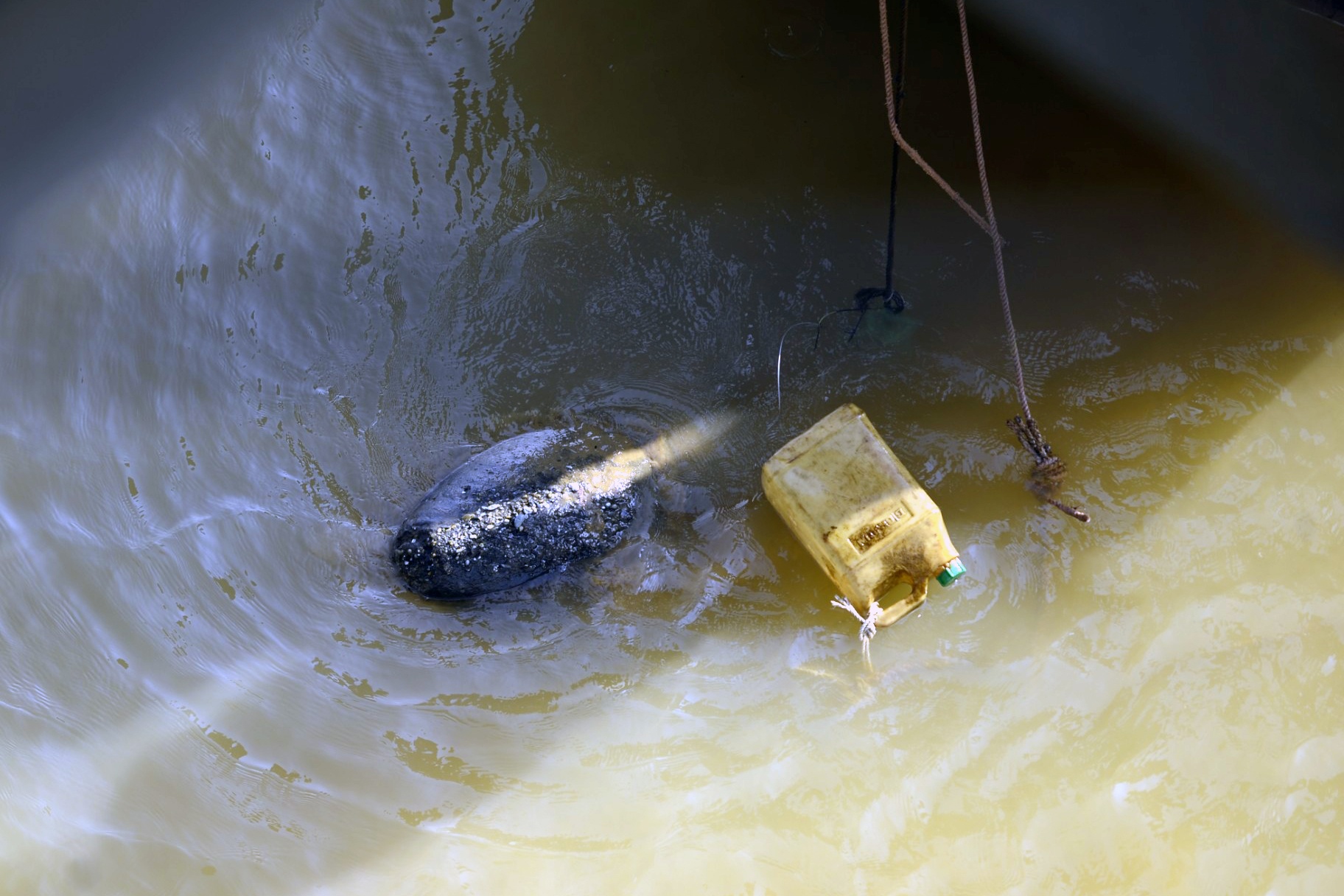 go bom khu vuc chan cau Long Bien anh 7