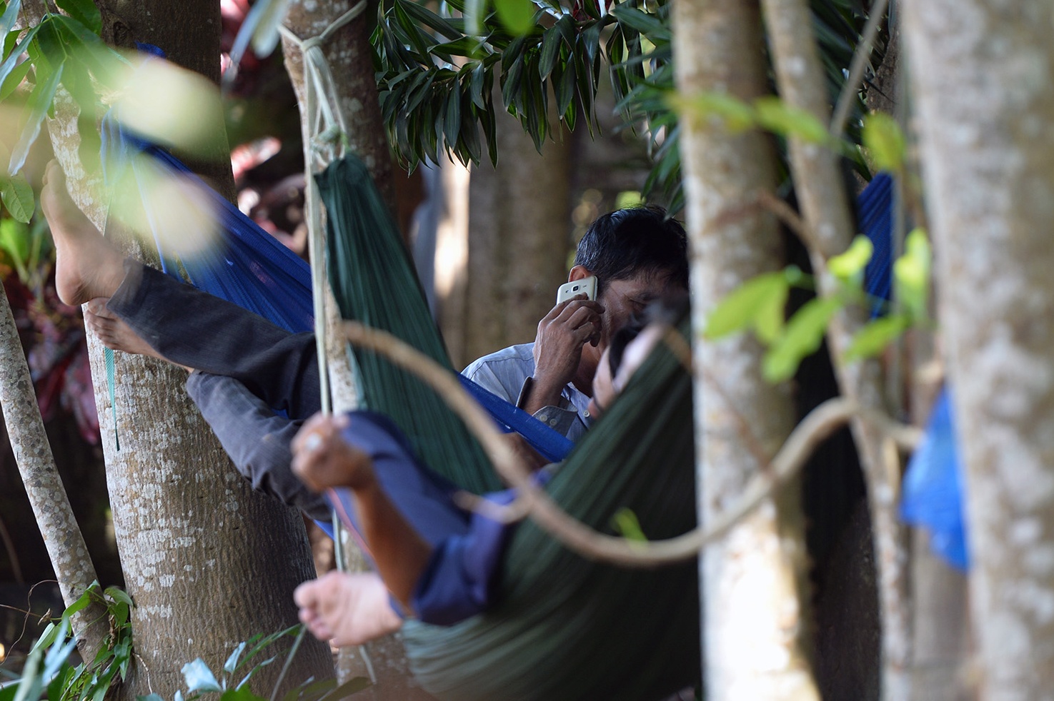 Co dat lam giau o dai cong truong Phu Quoc hinh anh