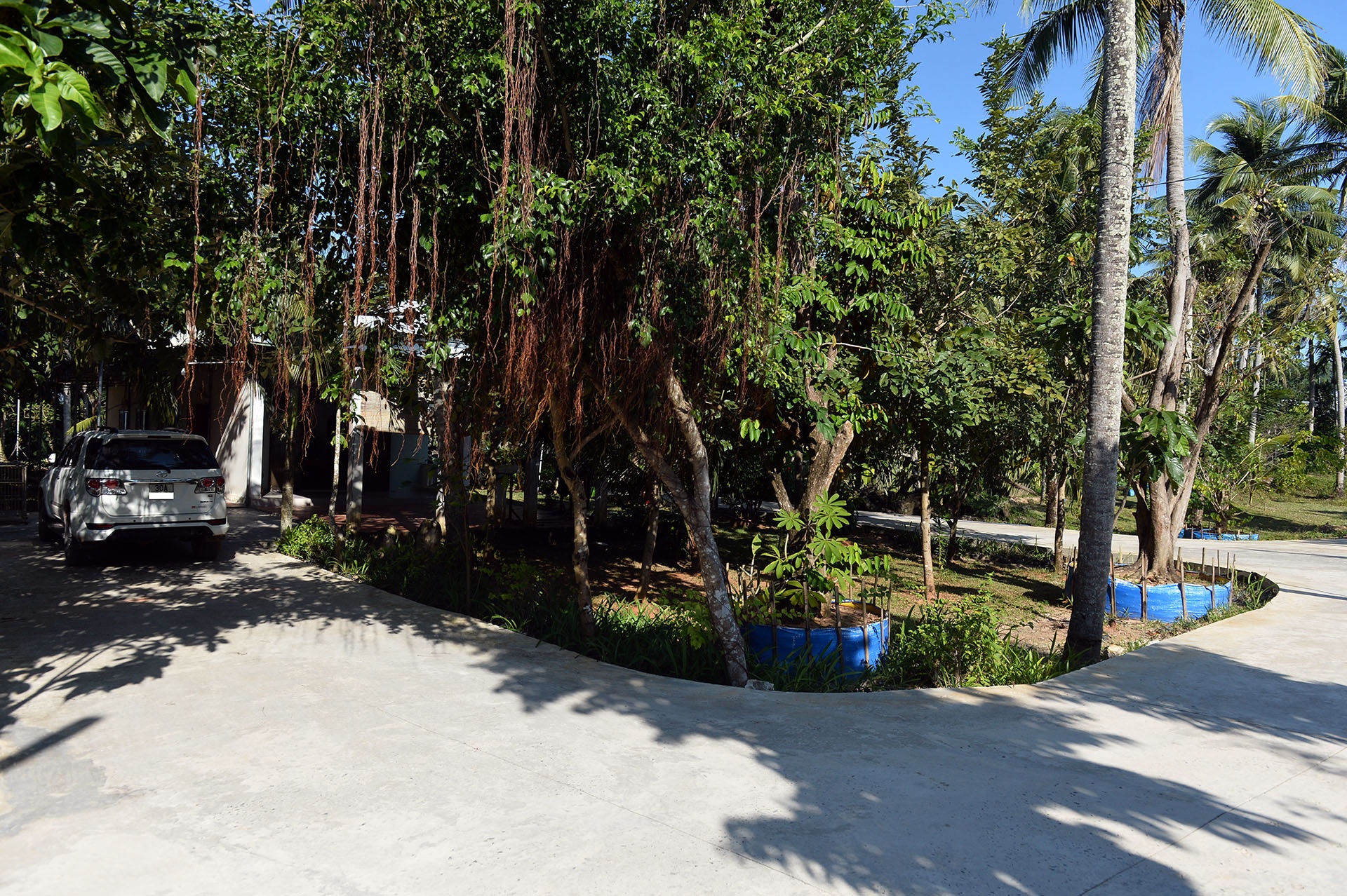 sot dat Phu Quoc anh 18