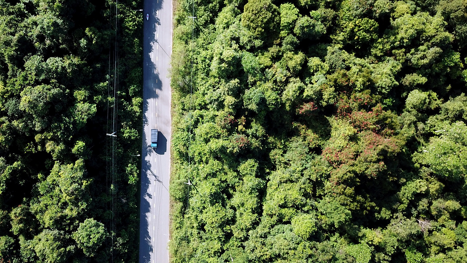 đặc khu Phú Quốc ảnh 18 dac khu Phu Quoc anh 18