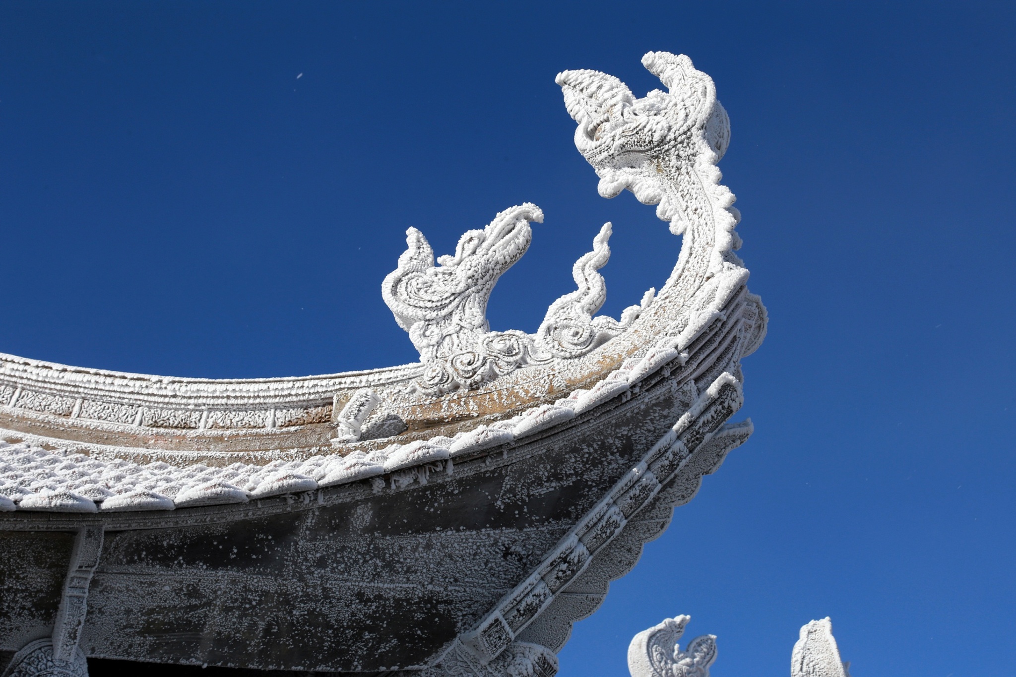 tuyet phu trang Fansipan anh 11