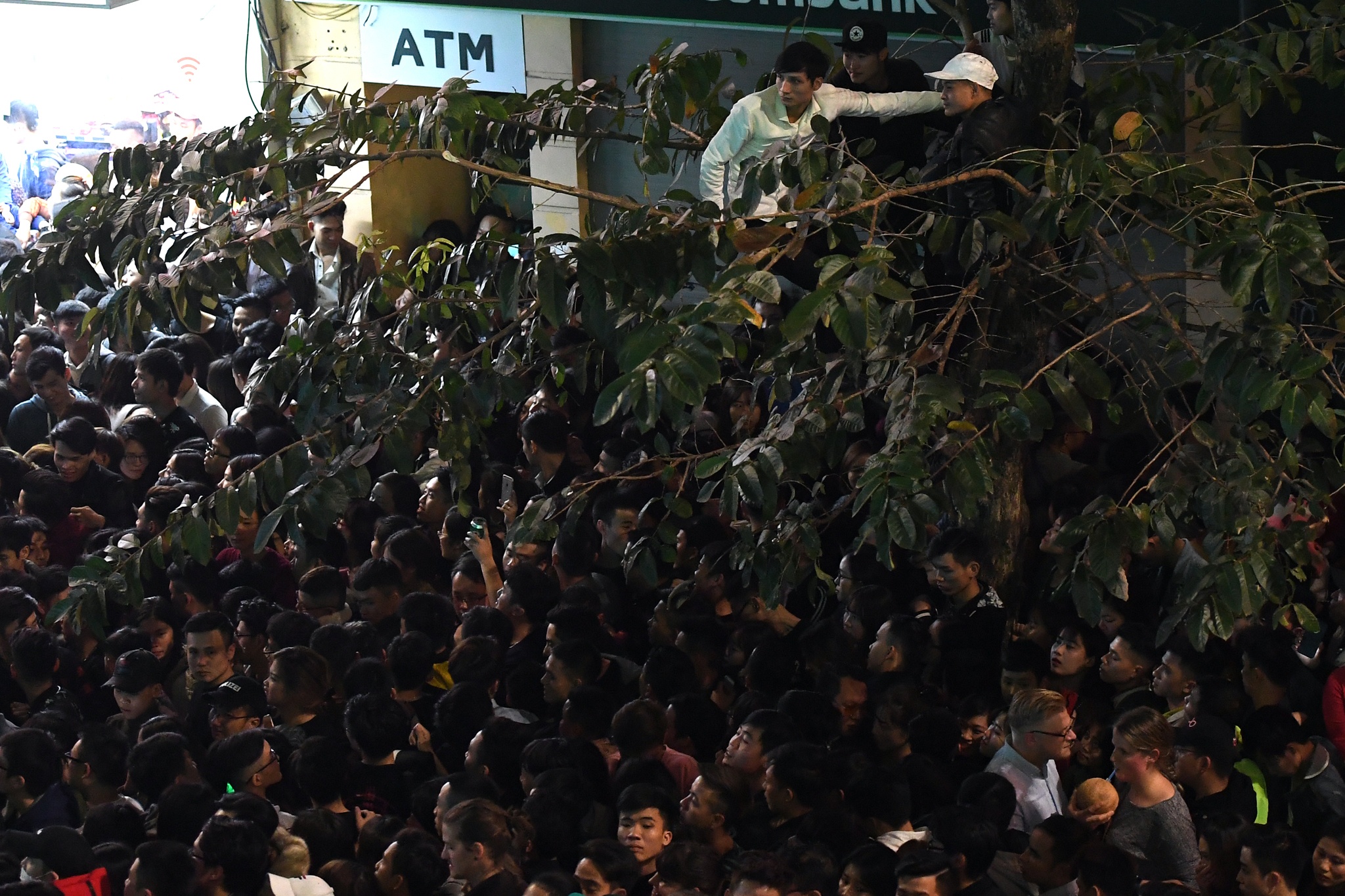 don nam moi 2018 anh 11