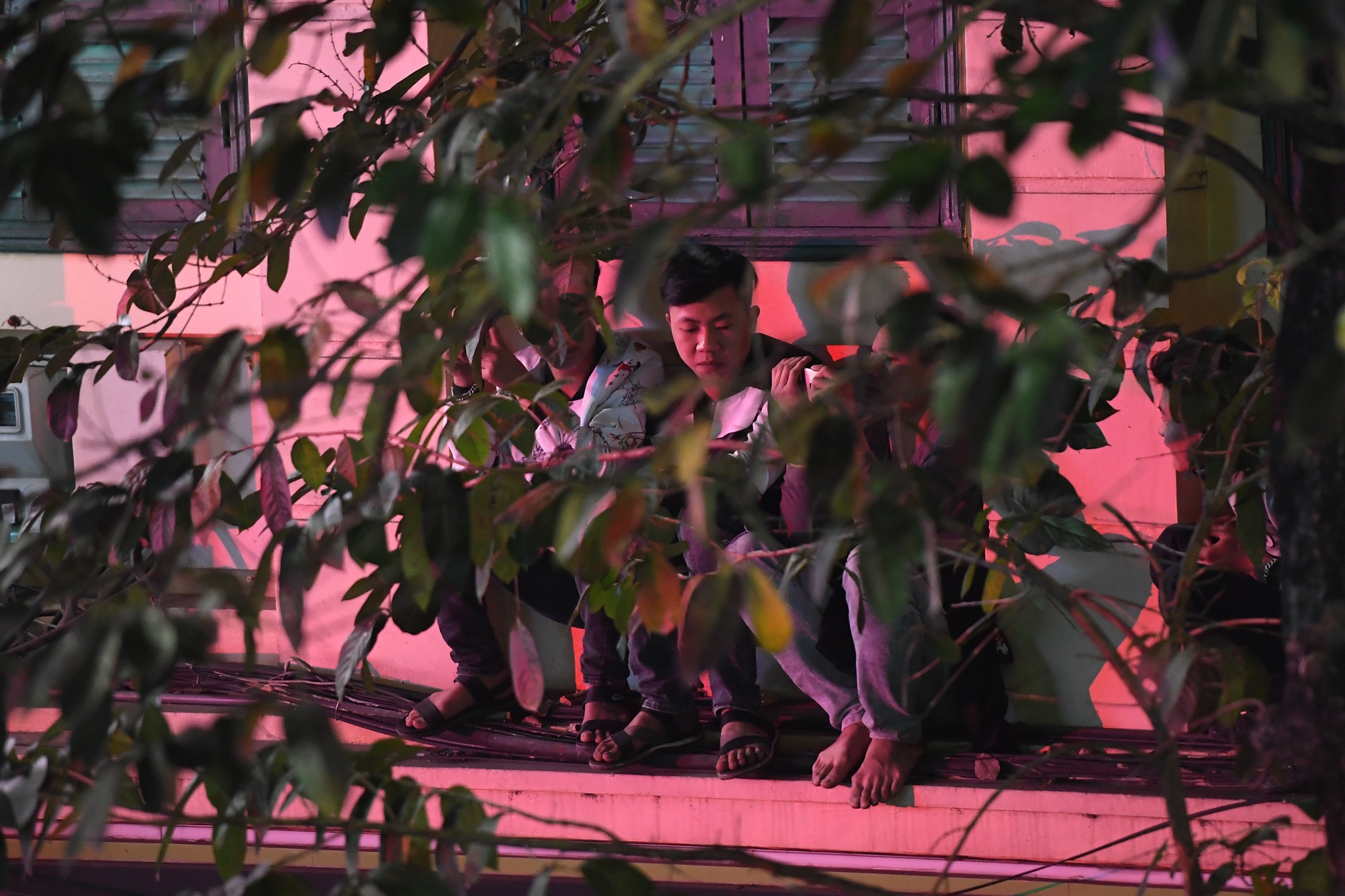 don nam moi 2018 anh 13