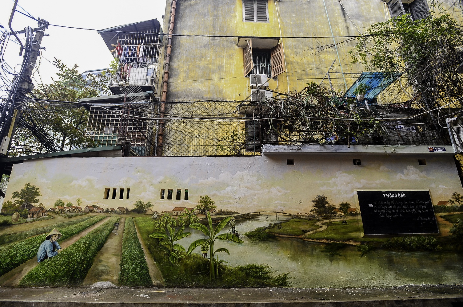 tranh tuong o Ha Noi anh 2