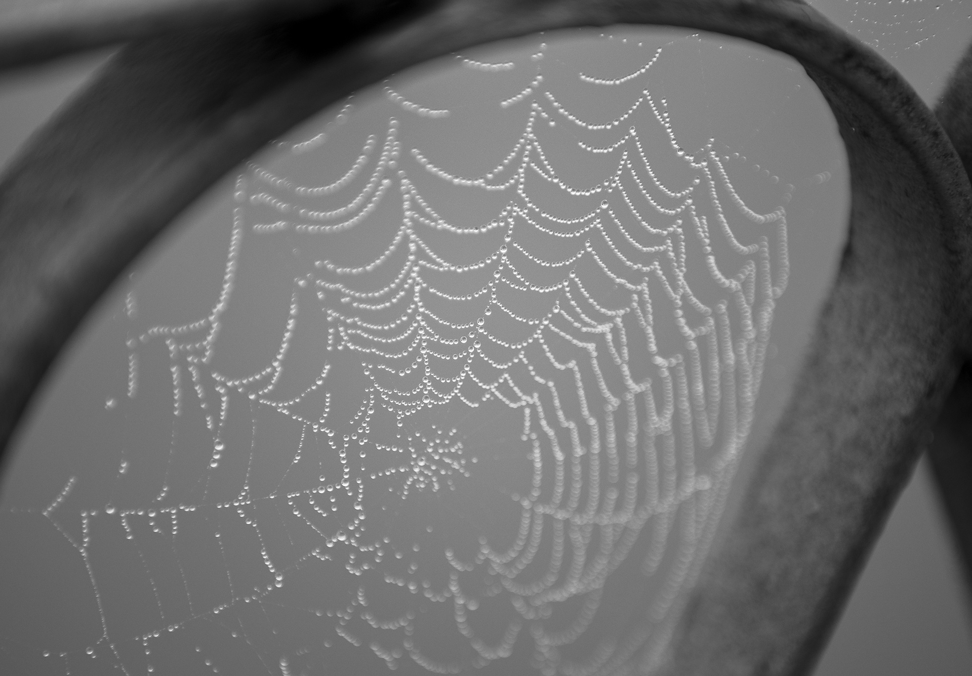 Hue mu suong lang man anh 18