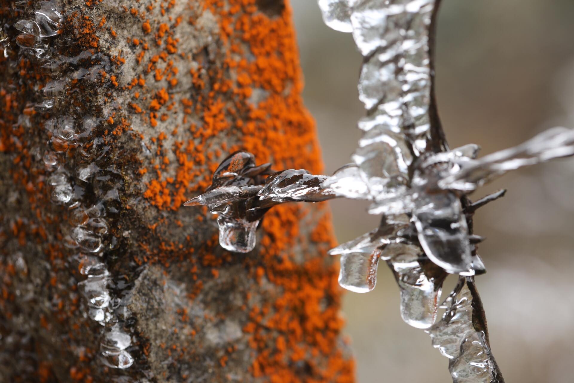 bang gia o Sa Pa anh 4