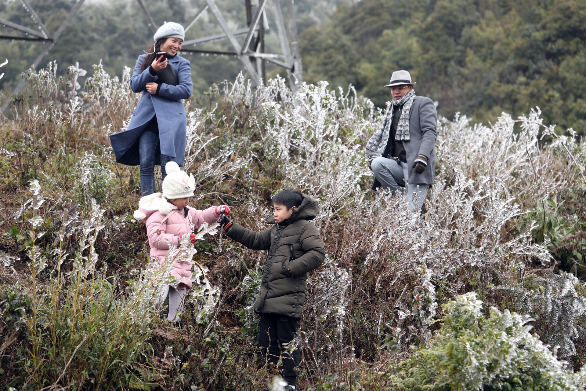 bang gia o Sa Pa anh 1