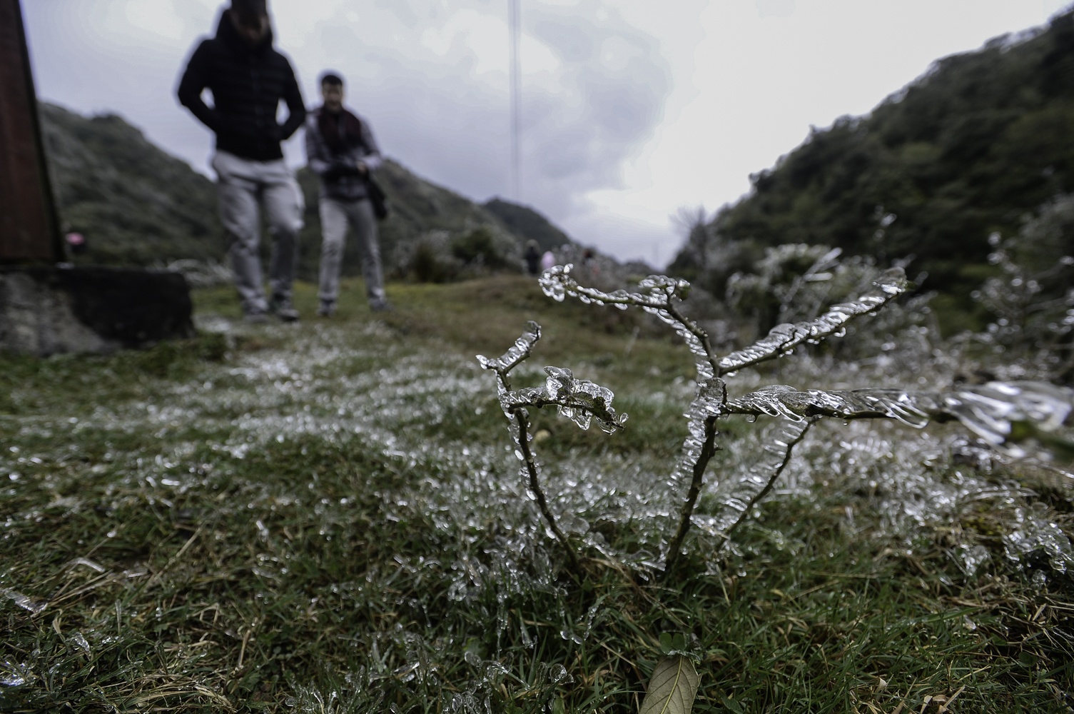 bang gia o Sa Pa anh 7