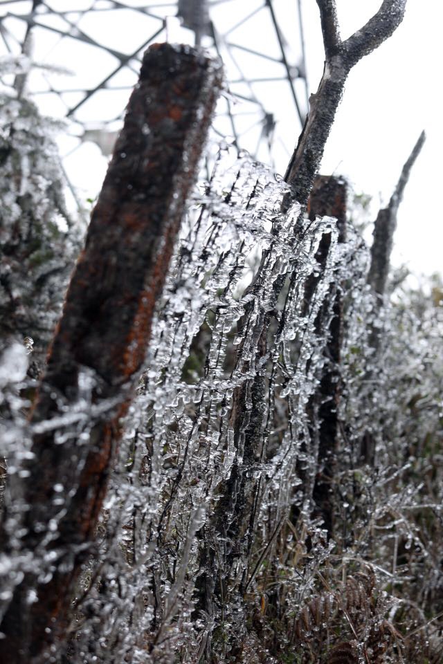 bang gia o Sa Pa anh 10