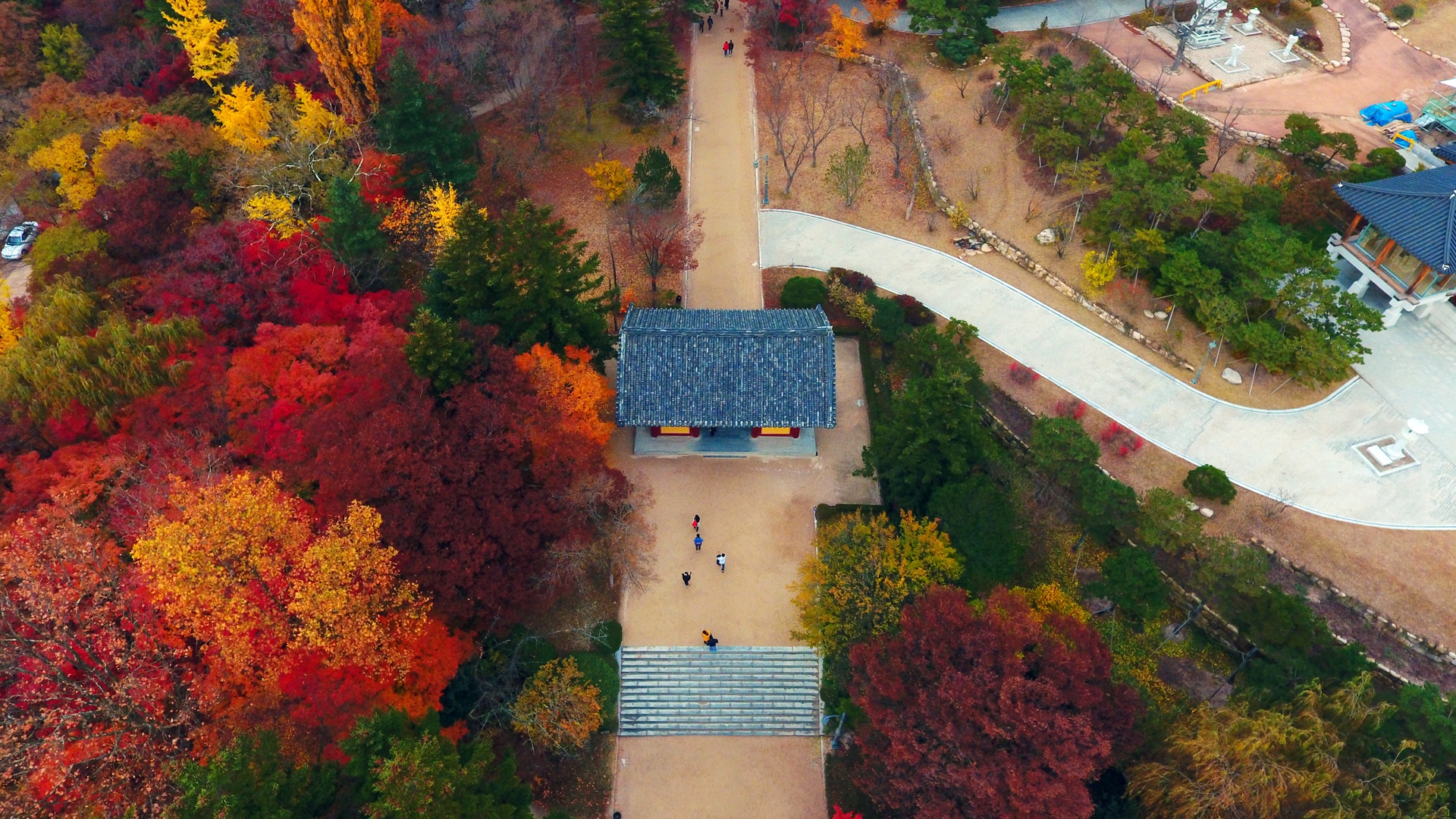 Khi la phong chuyen mau do ruc o Han Quoc, Nhat Ban hinh anh