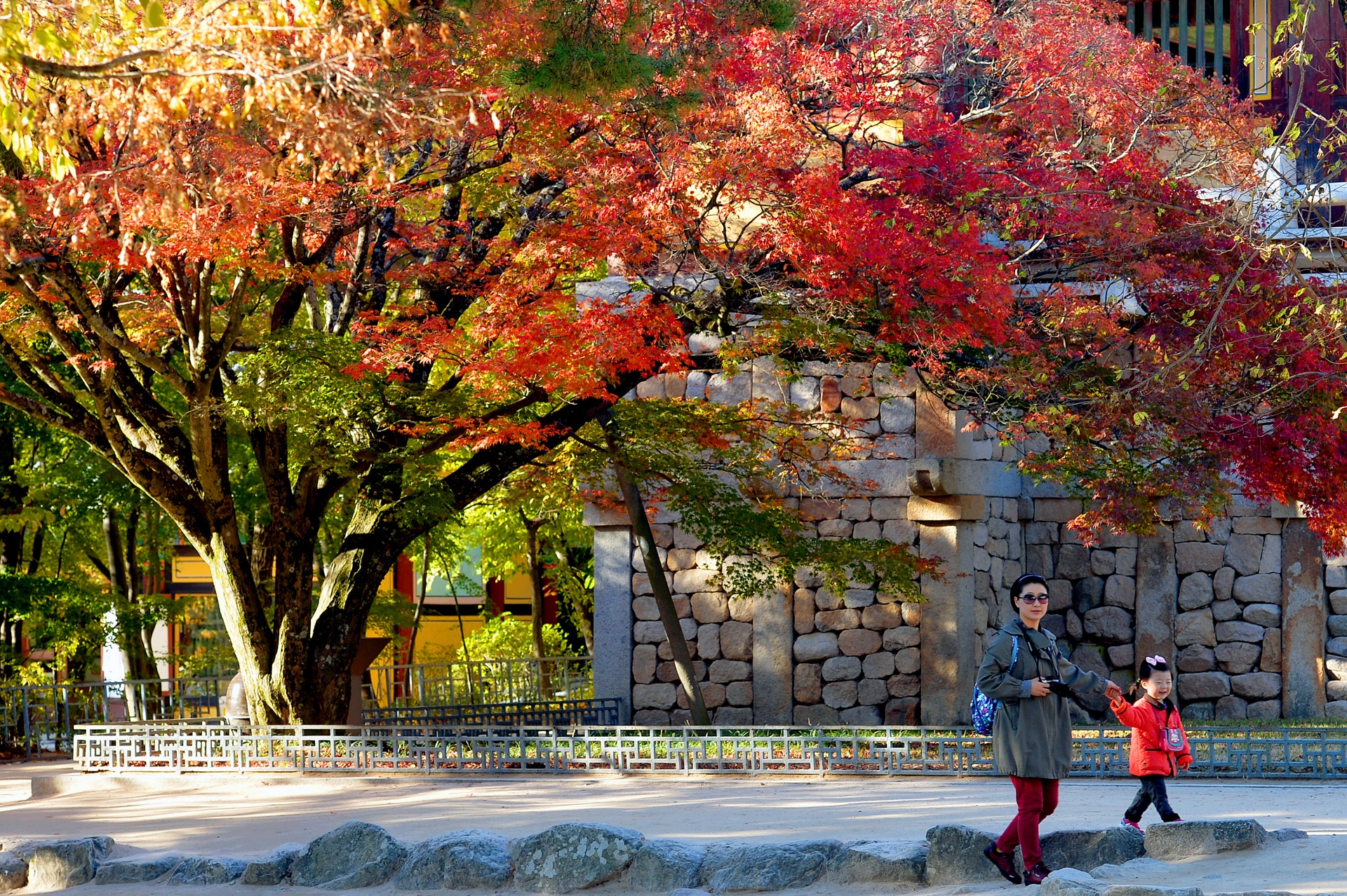 la phong do o Han Quoc anh 9