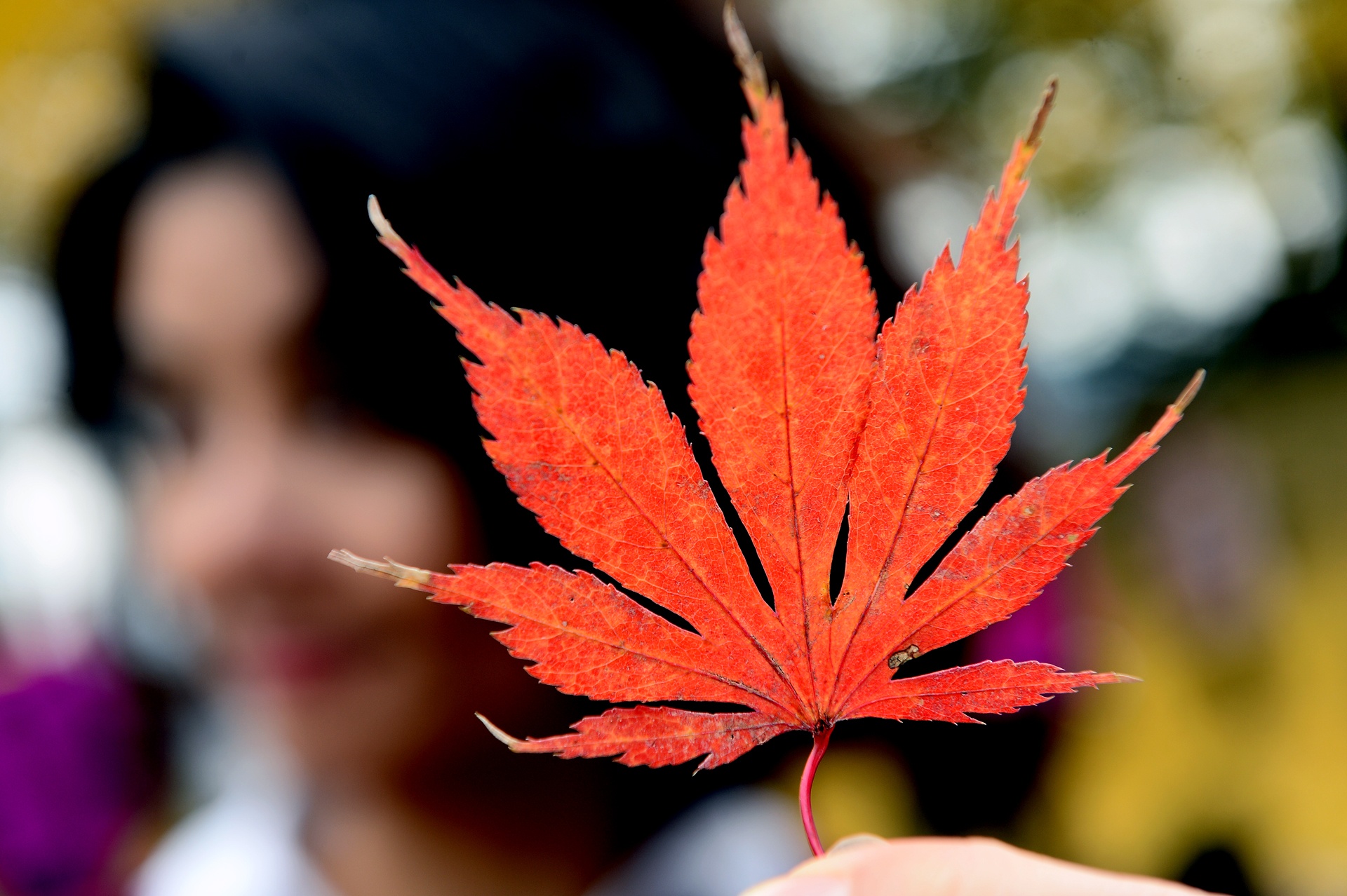 la phong do o Han Quoc anh 3