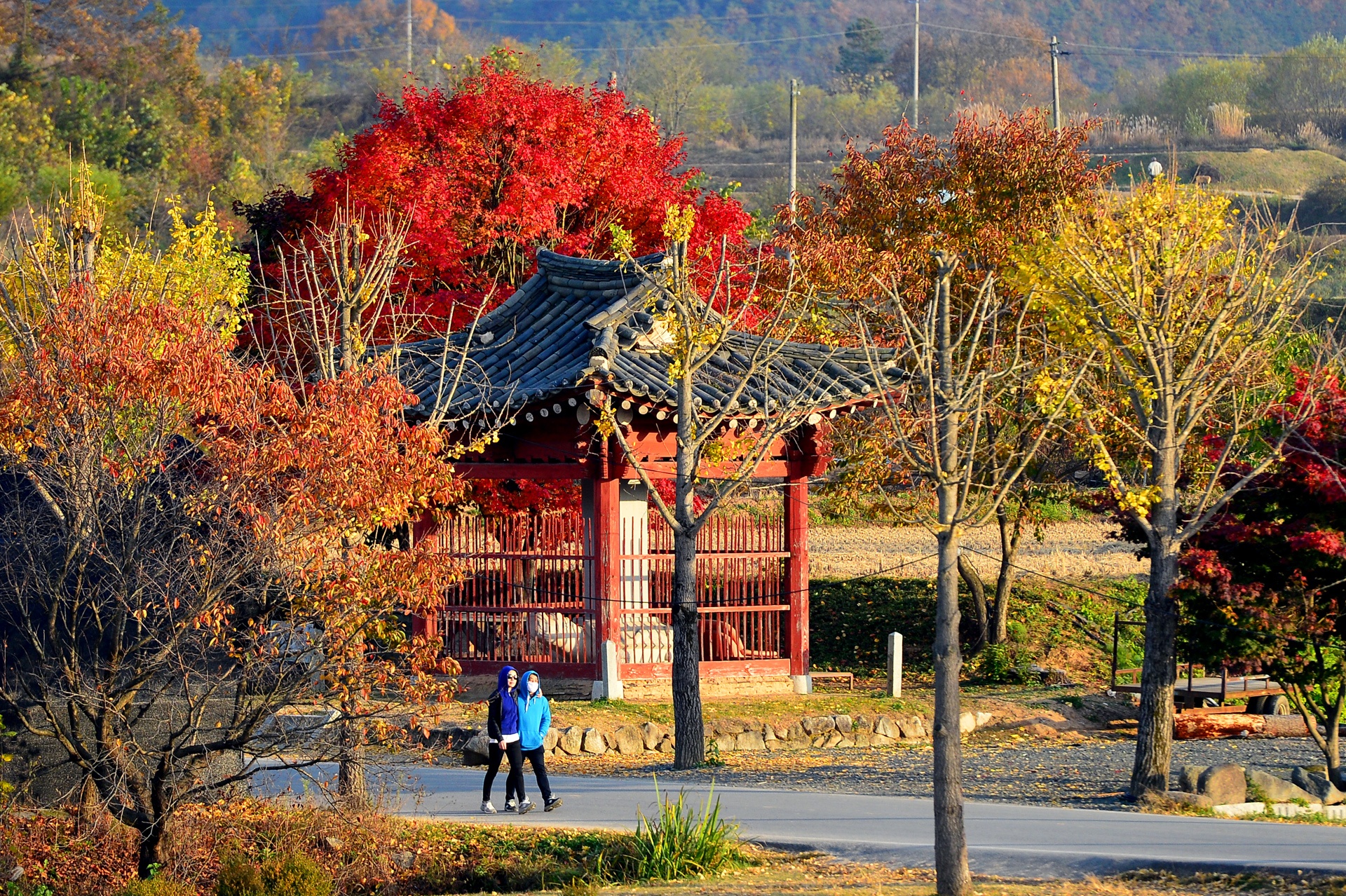 la phong do o Han Quoc anh 6