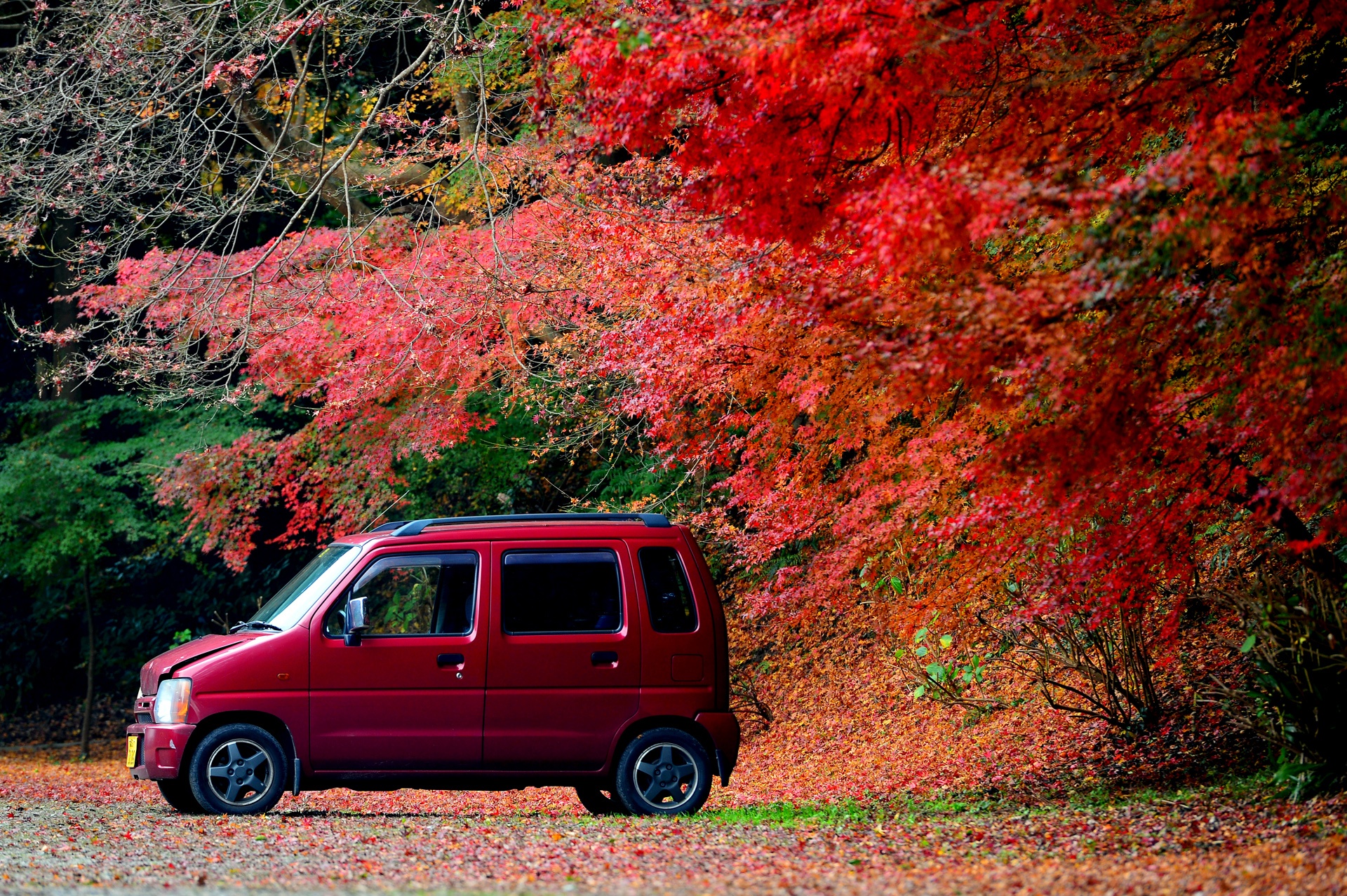 la phong do o Han Quoc anh 11