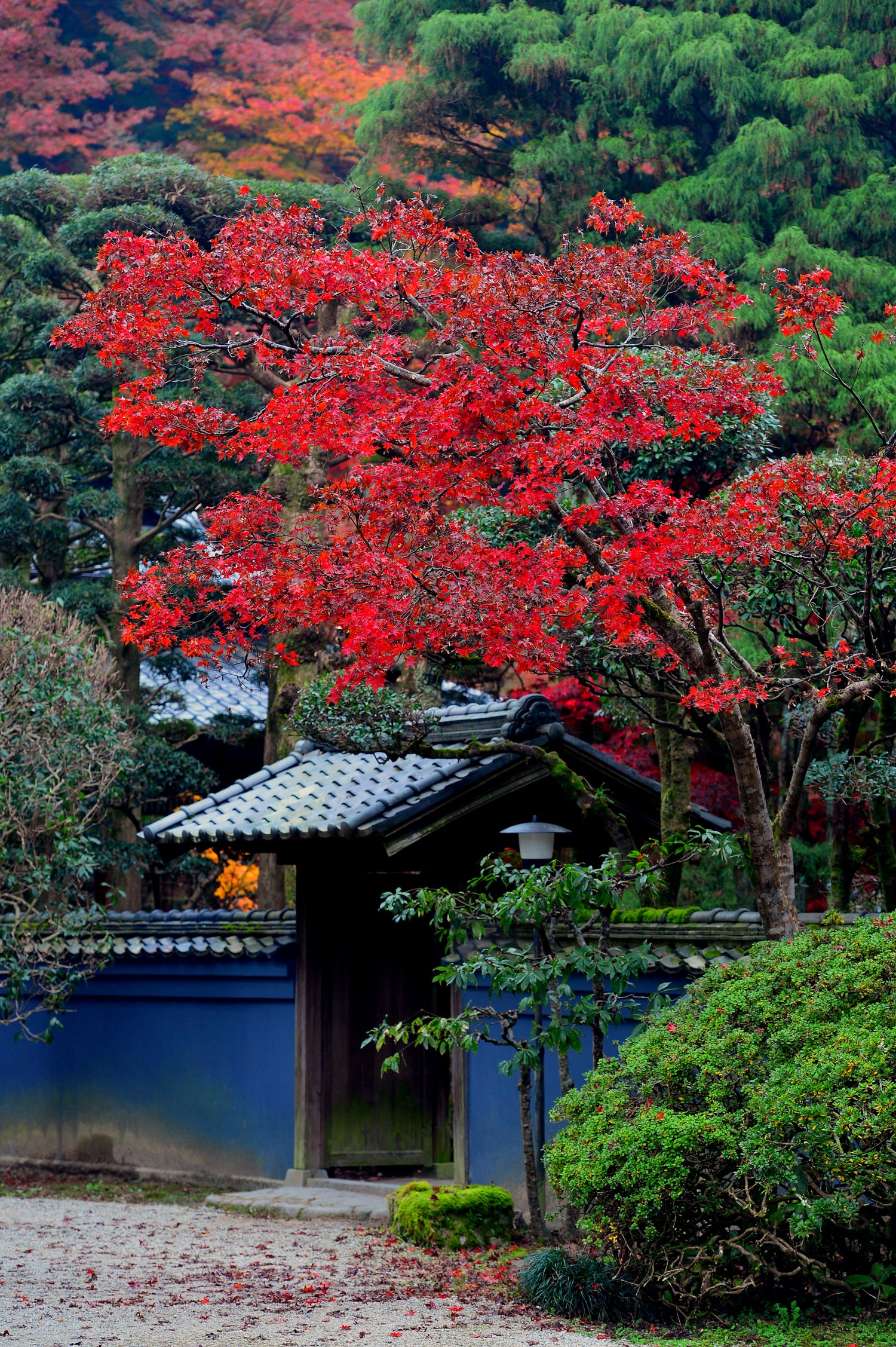 la phong do o Han Quoc anh 12