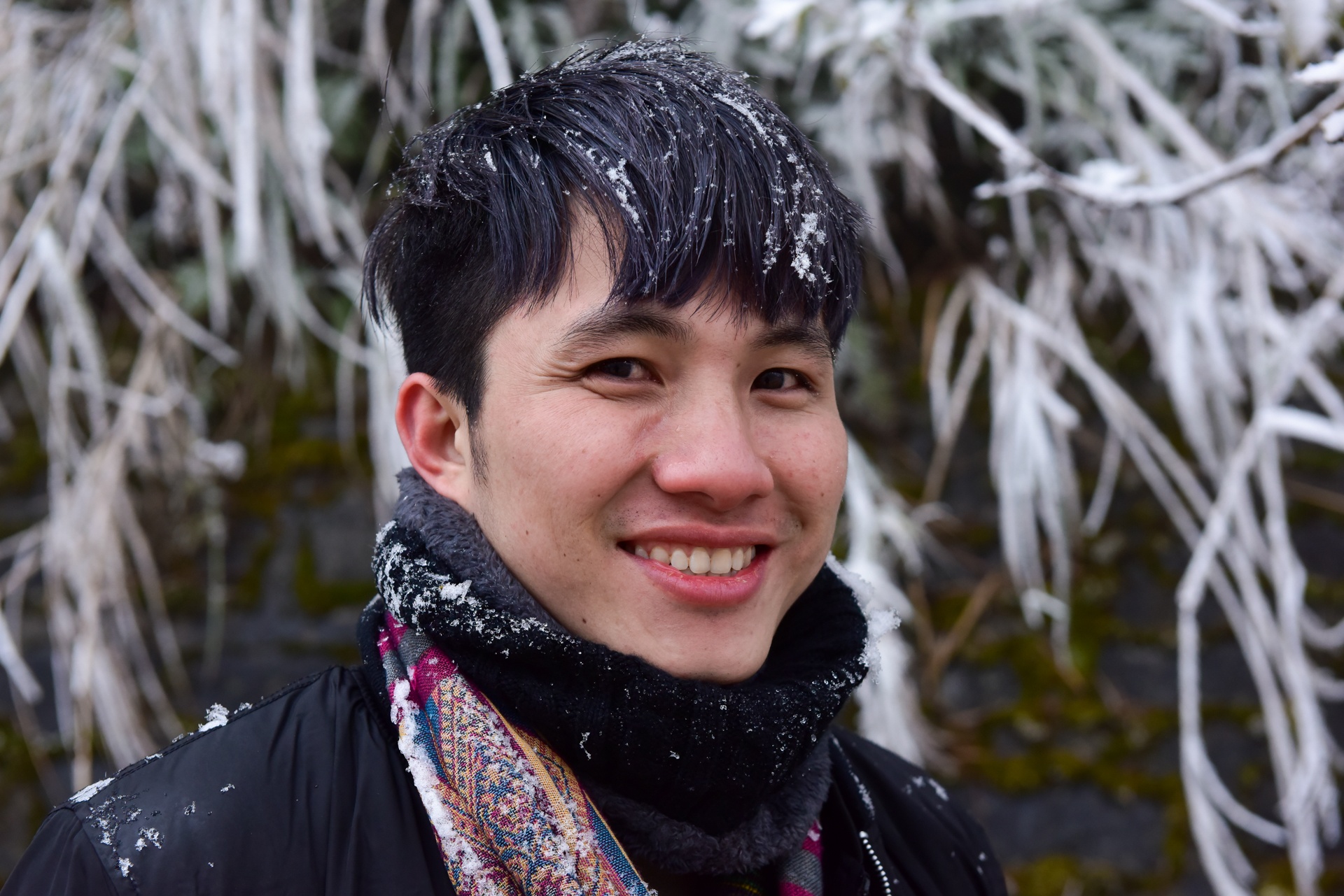 du khach do len Sa Pa xem tuyet anh 12