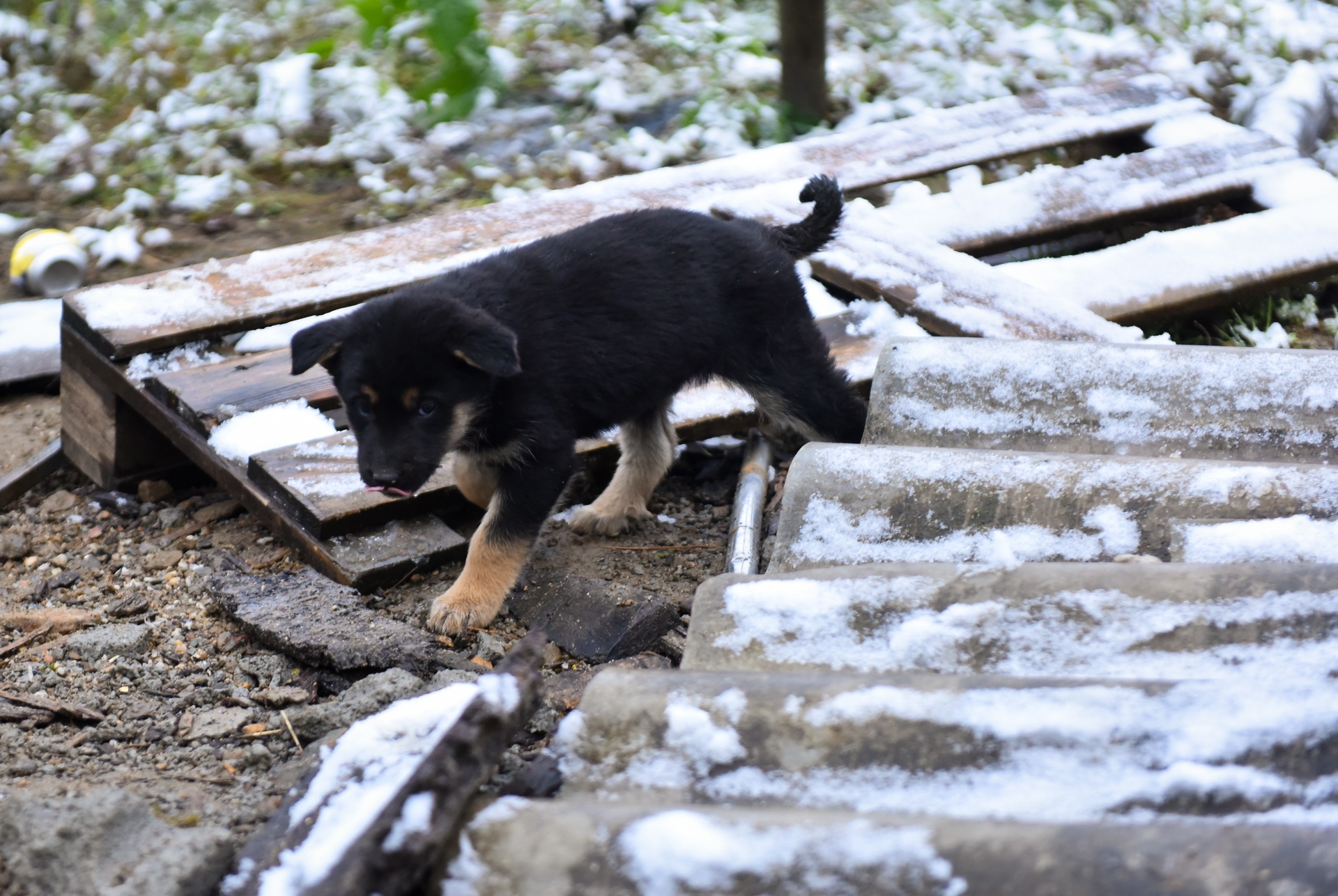 tuyet phu Sa Pa anh 11