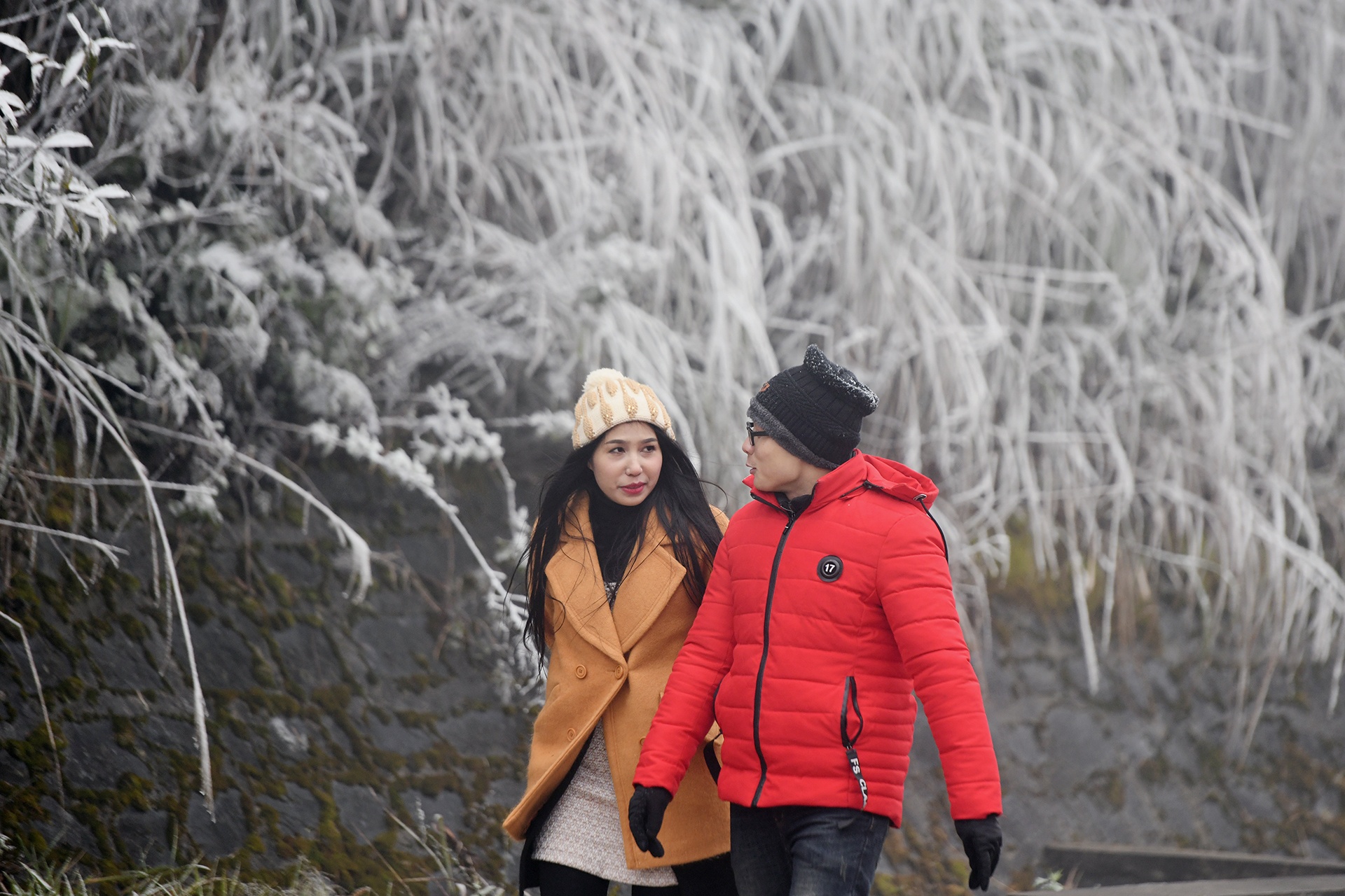 du khach do len Sa Pa xem tuyet anh 4