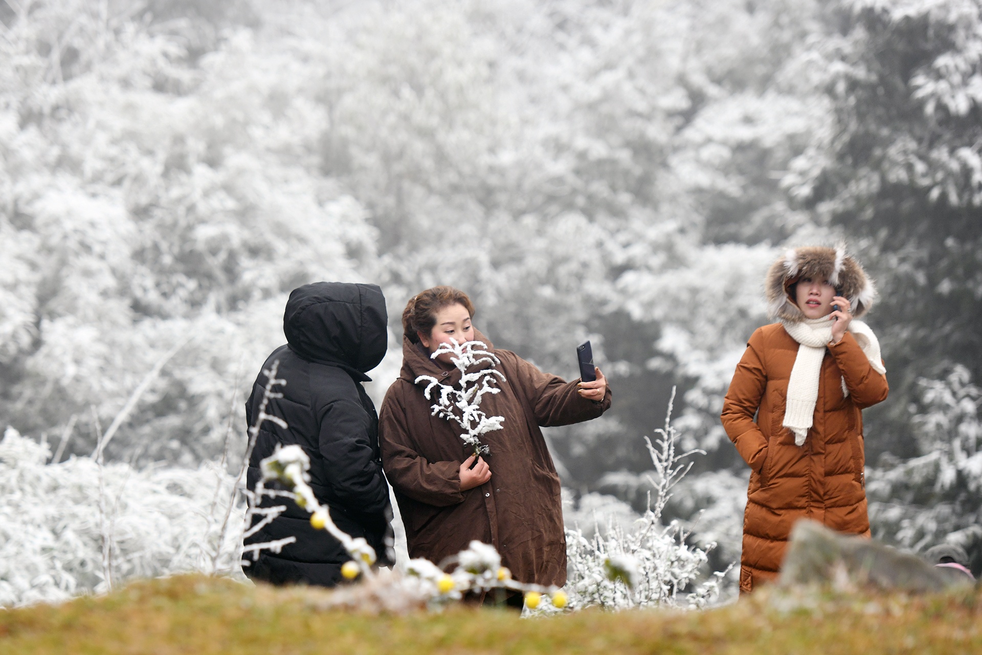 du khach do len Sa Pa xem tuyet anh 3