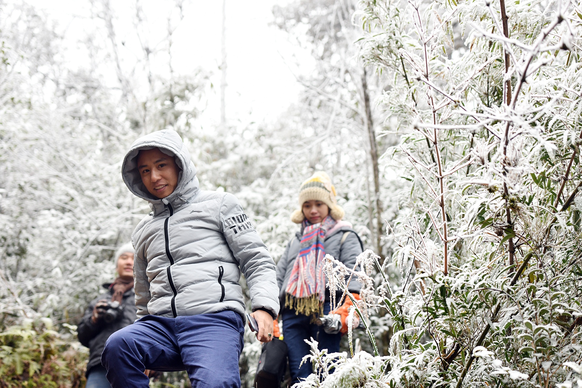du khach do len Sa Pa xem tuyet anh 2