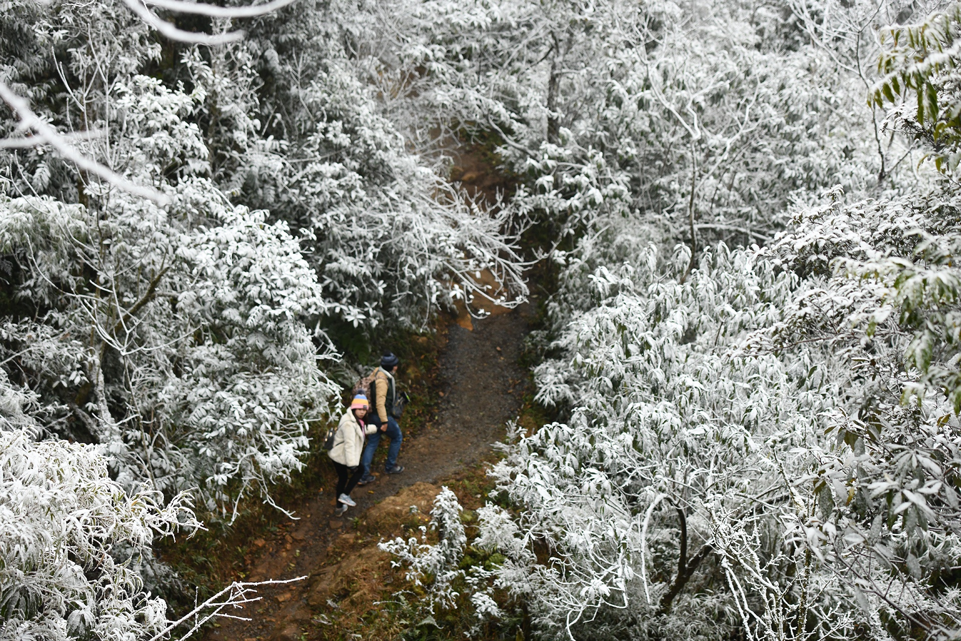 tuyet phu Sa Pa anh 13