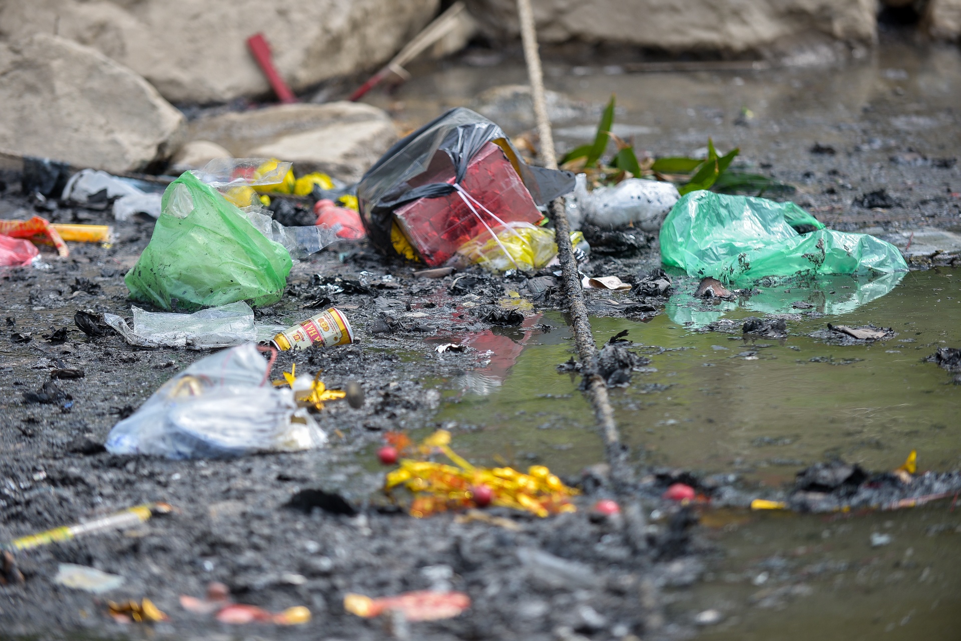 tha ca chep tien Tao quan anh 6