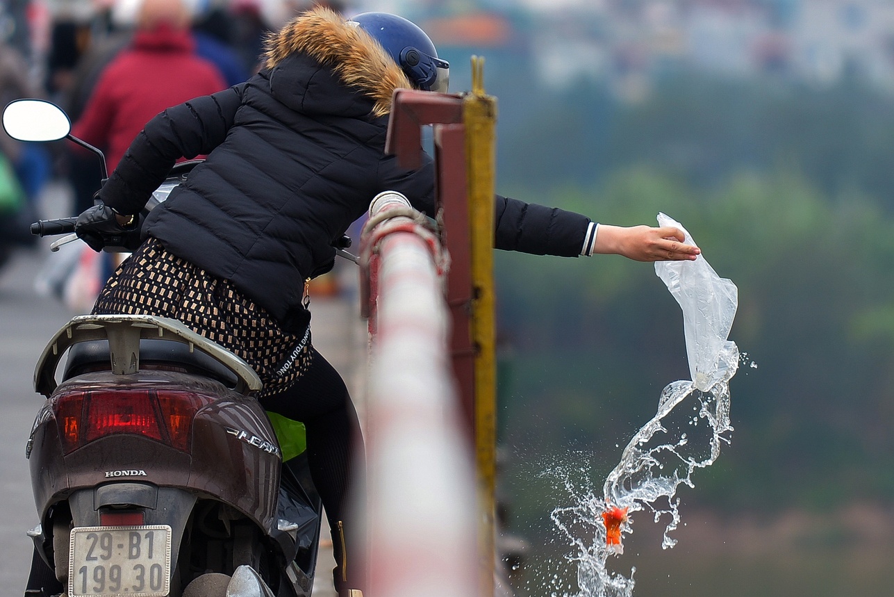 Quang du thu xuong song, ho tien Tao quan chau troi hinh anh