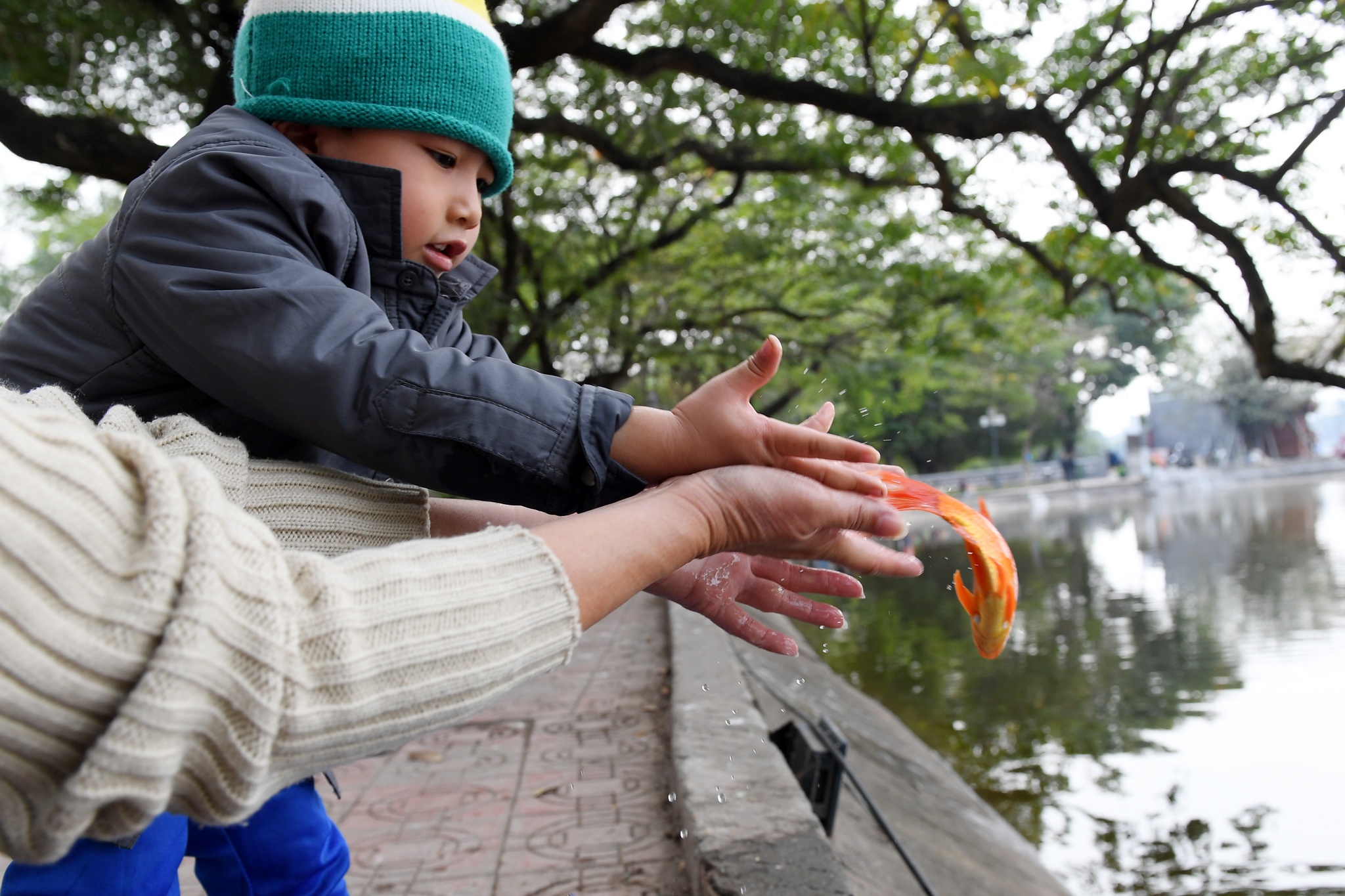 tha ca chep tien Tao quan anh 11