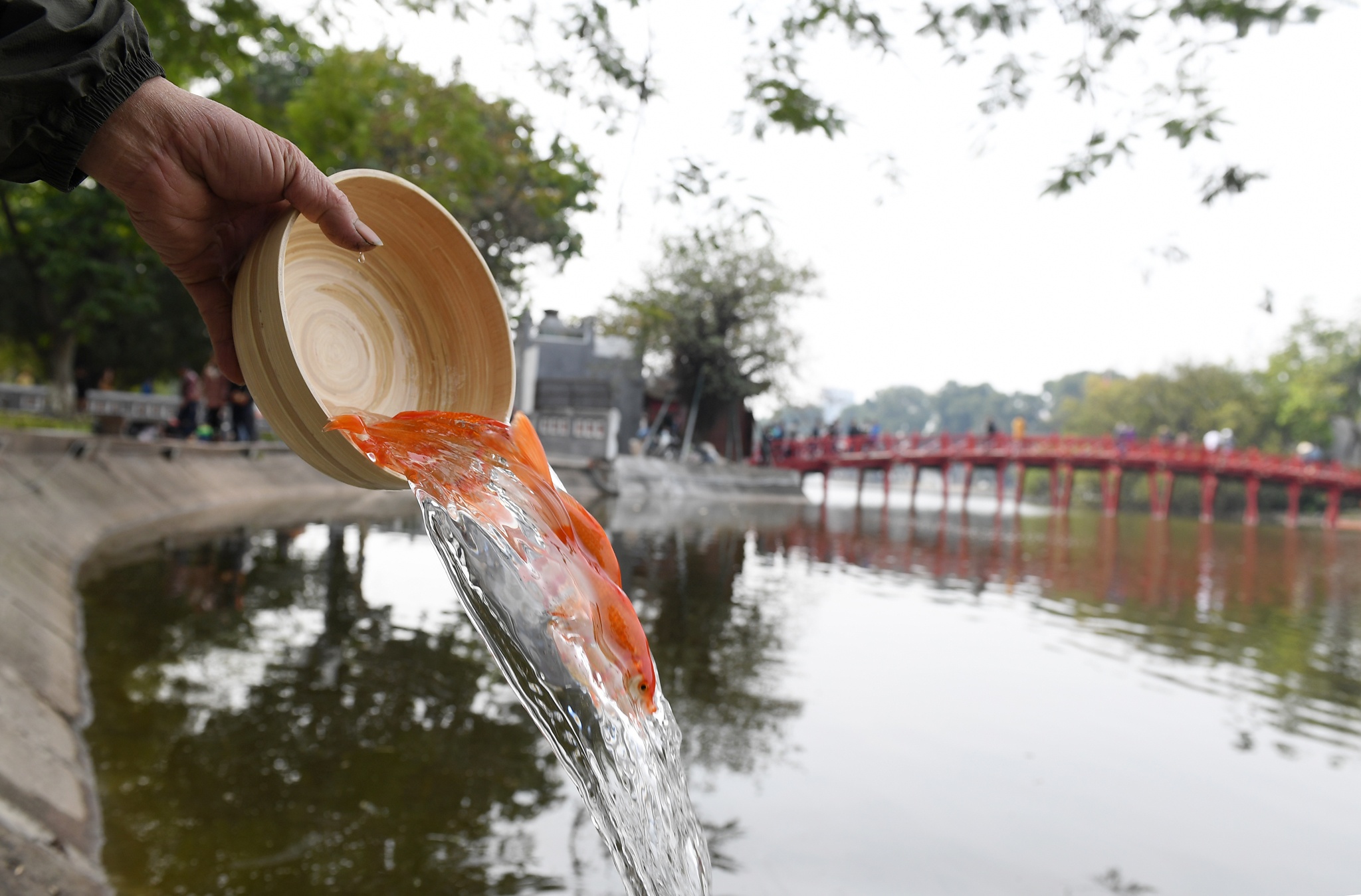 tha ca chep tien Tao quan anh 14