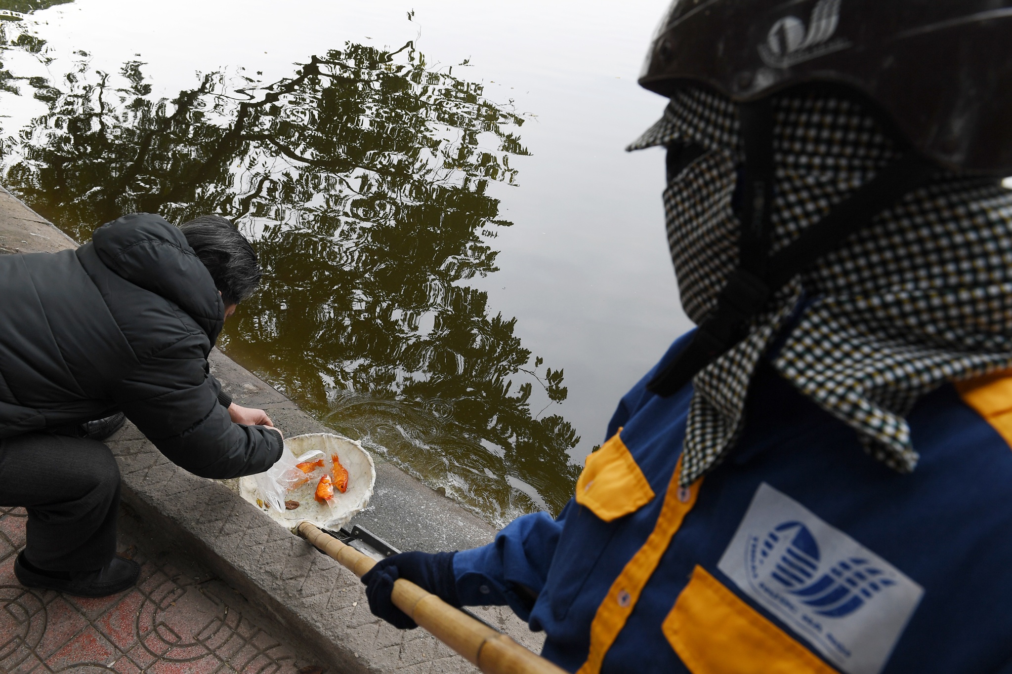 tha ca chep tien Tao quan anh 12