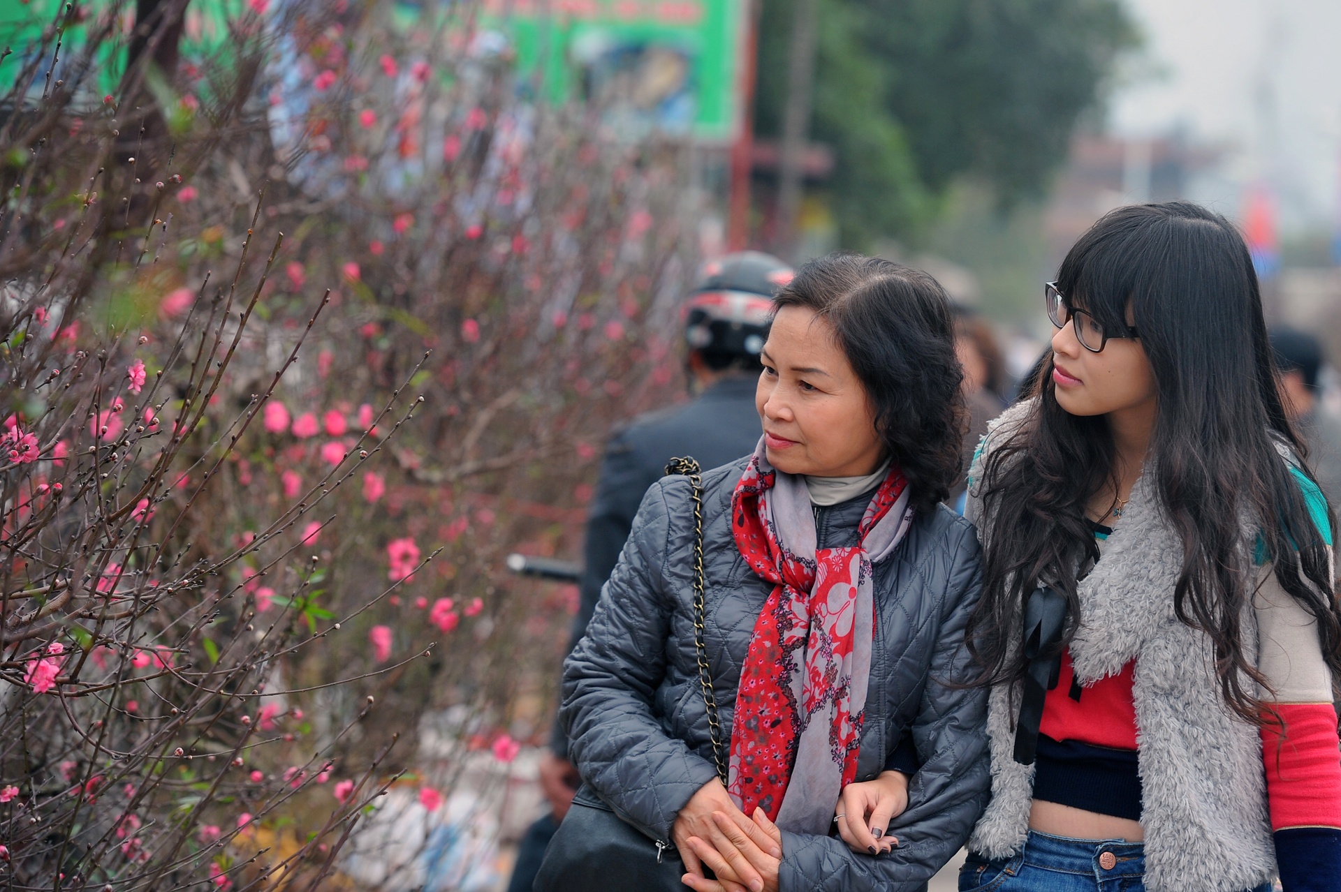 hoa dao ngay Tet anh 8