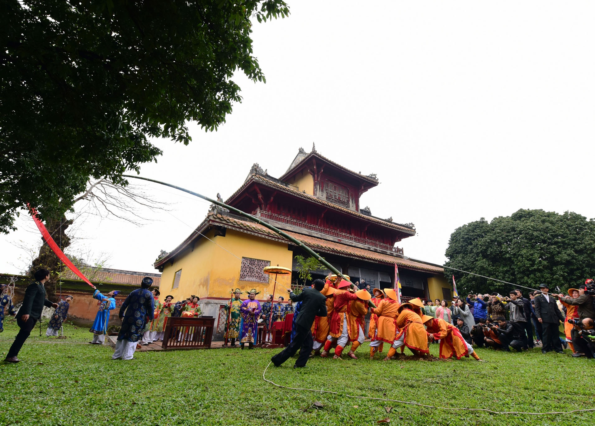 le dung cay neu trong Dai noi anh 13