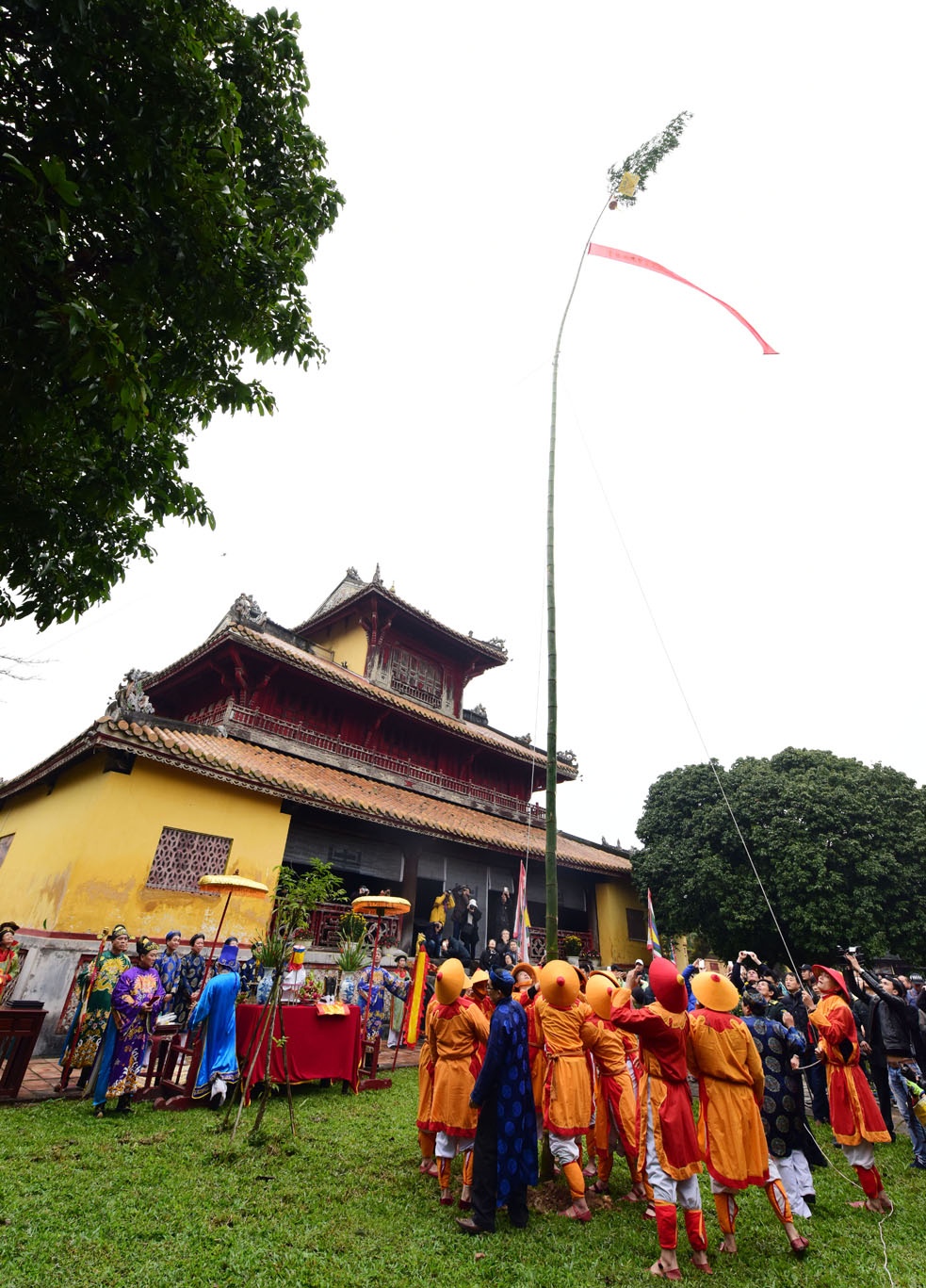 le dung cay neu trong Dai noi anh 14