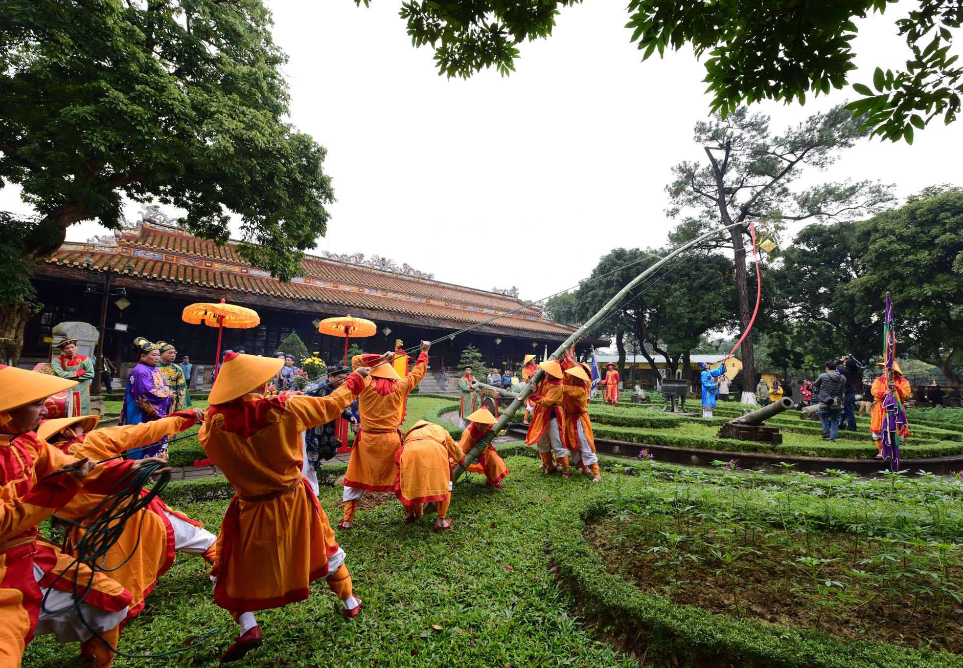 le dung cay neu trong Dai noi anh 18