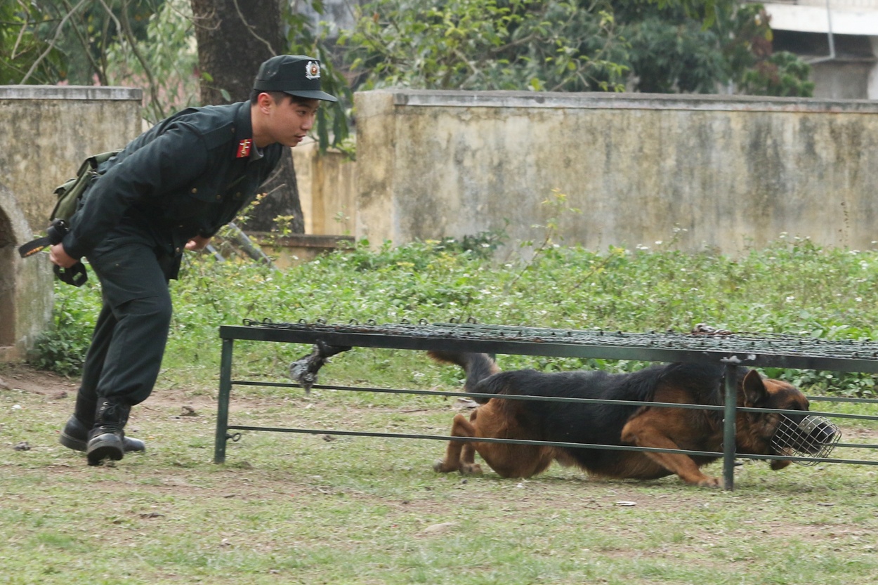 Noi huan luyen nhung chu cho 'chien binh' dac biet hinh anh