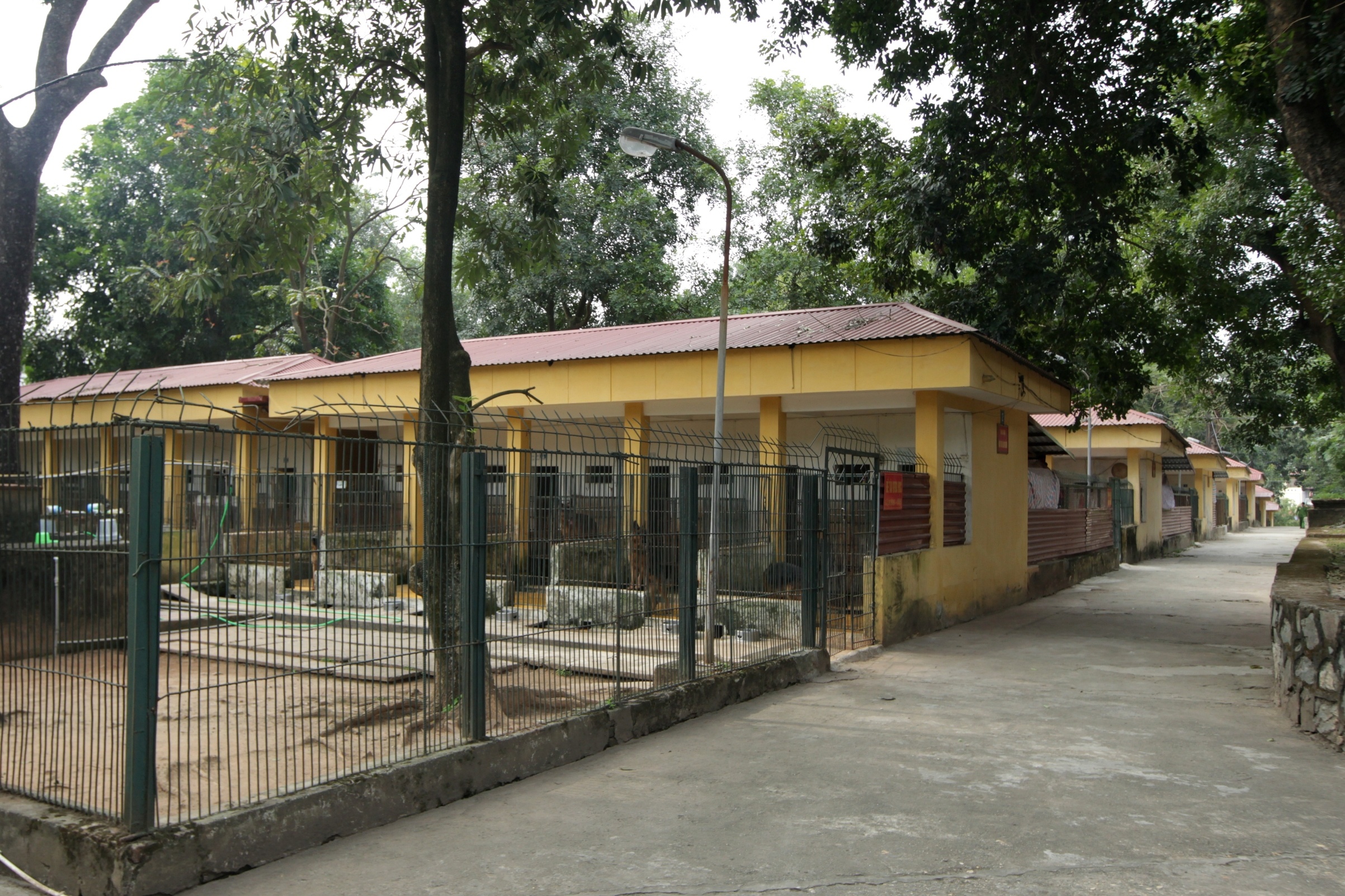 cho nghiep vu duoc huan luyen the nao anh 1