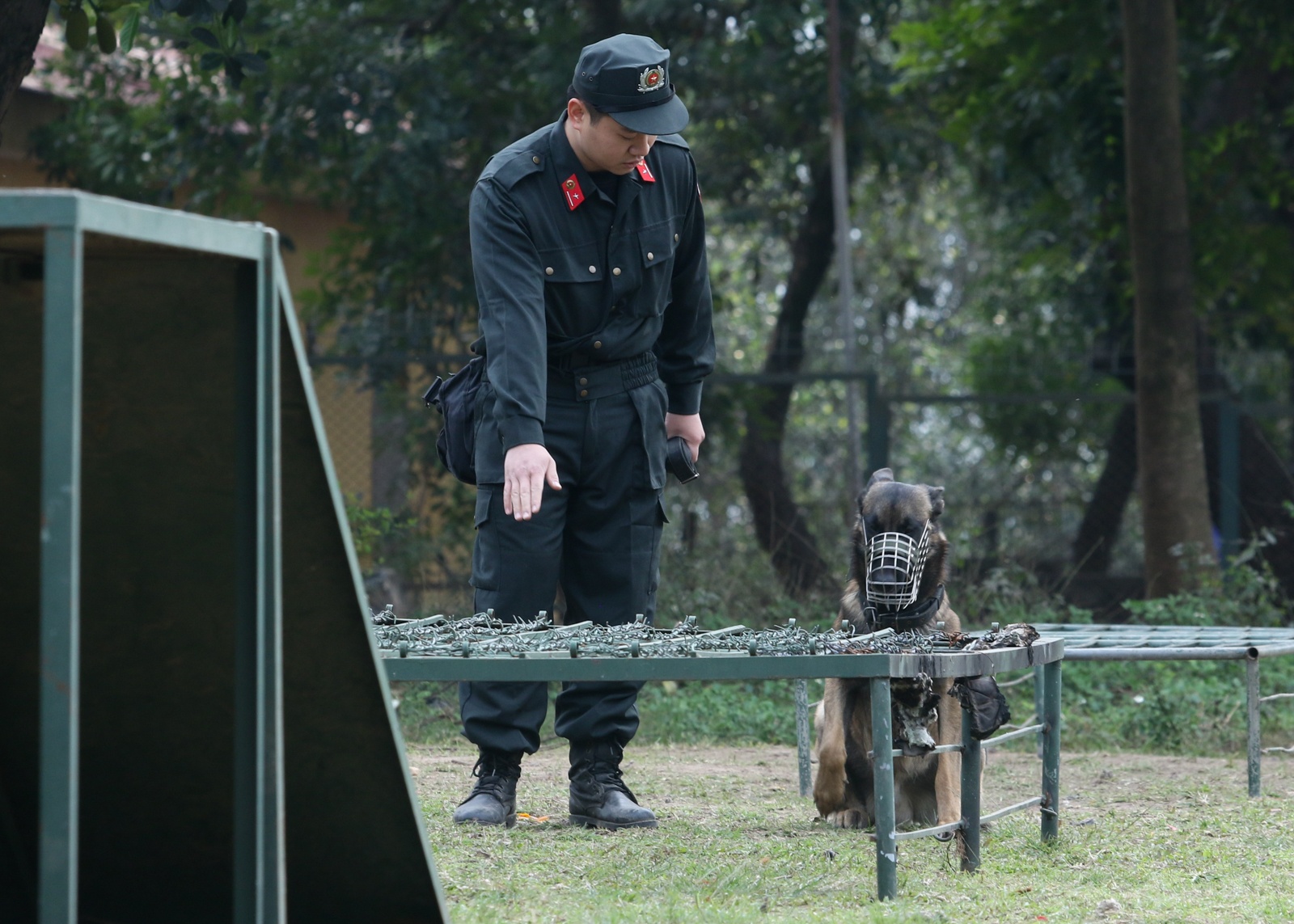 cho nghiep vu duoc huan luyen the nao anh 10