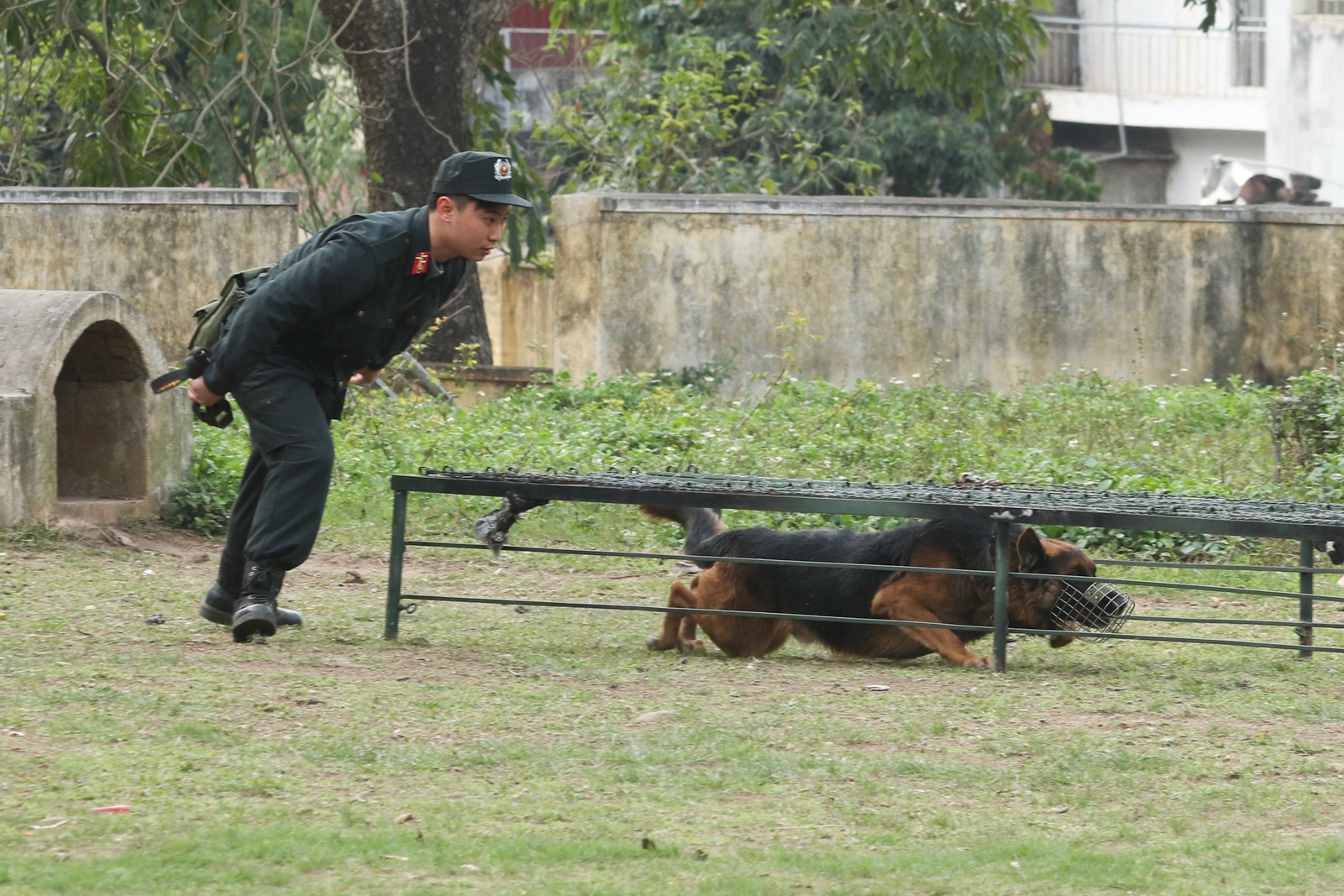 cho nghiep vu duoc huan luyen the nao anh 11