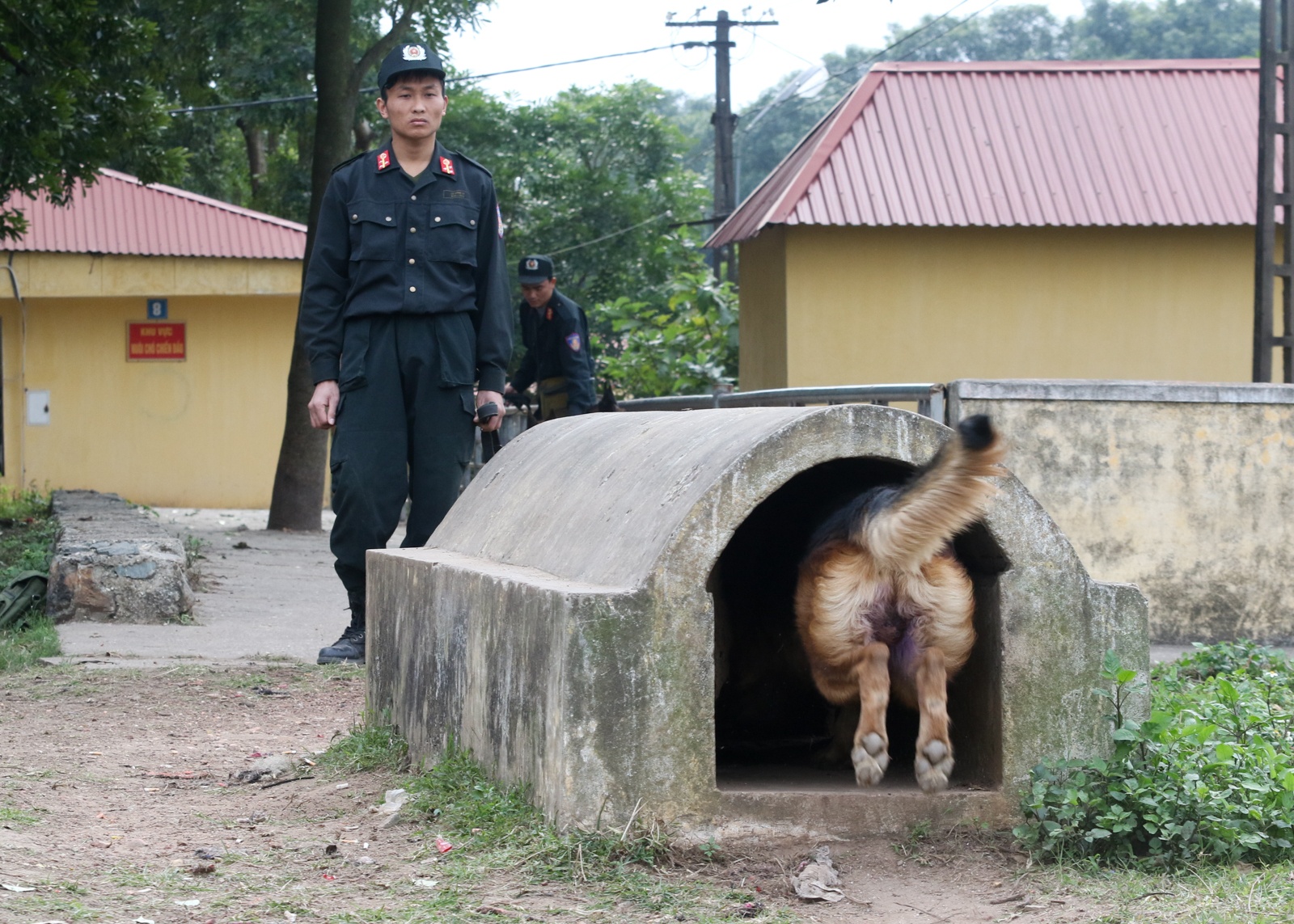 cho nghiep vu duoc huan luyen the nao anh 14