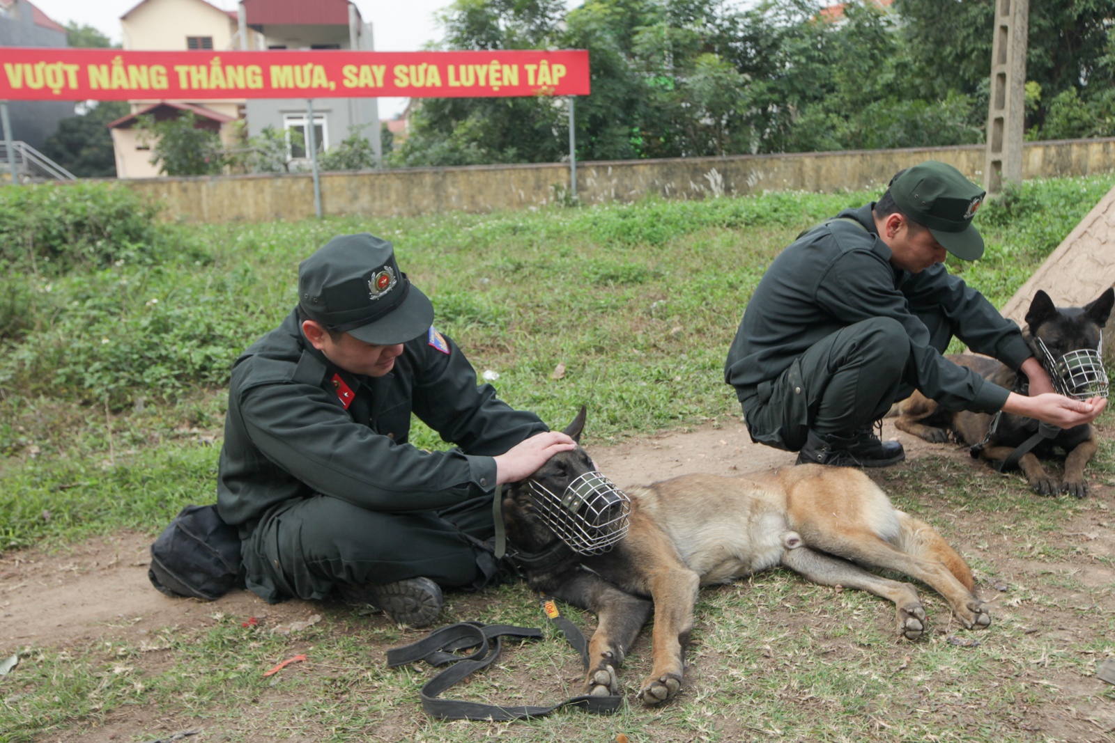 cho nghiep vu duoc huan luyen the nao anh 16