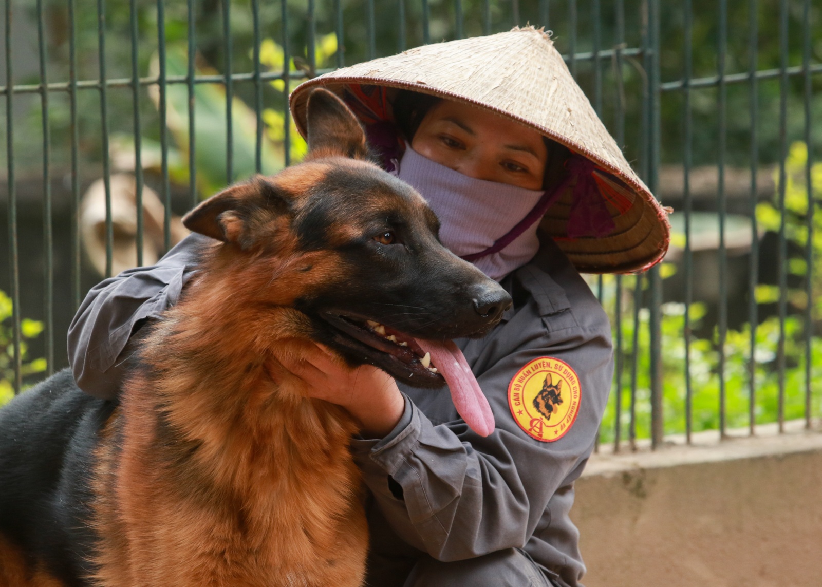 cho nghiep vu duoc huan luyen the nao anh 6