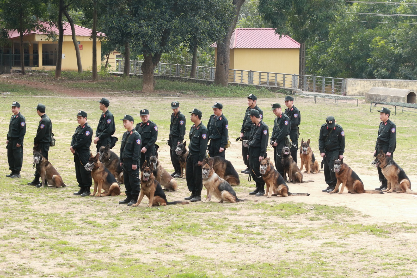 cho nghiep vu duoc huan luyen the nao anh 7