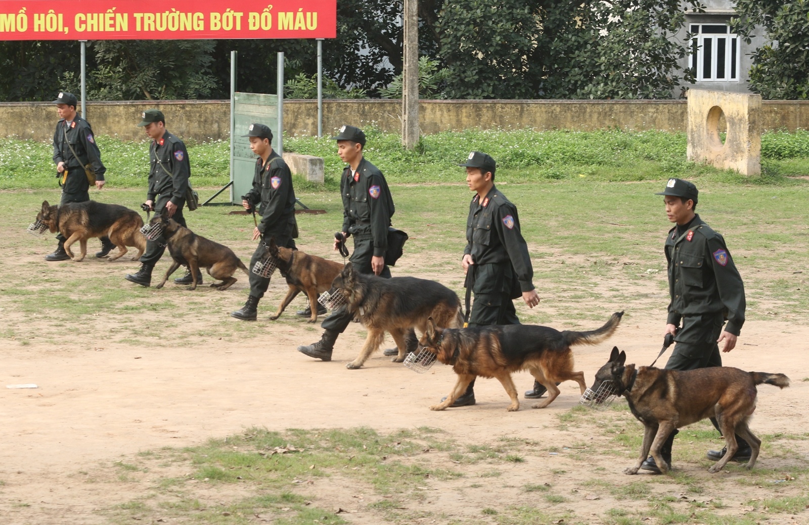 cho nghiep vu duoc huan luyen the nao anh 8