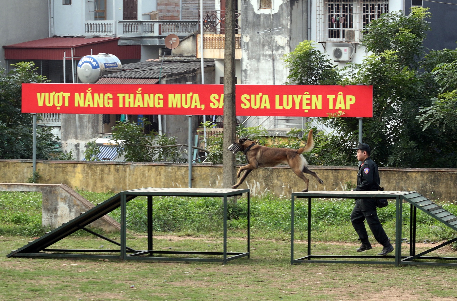 cho nghiep vu duoc huan luyen the nao anh 9