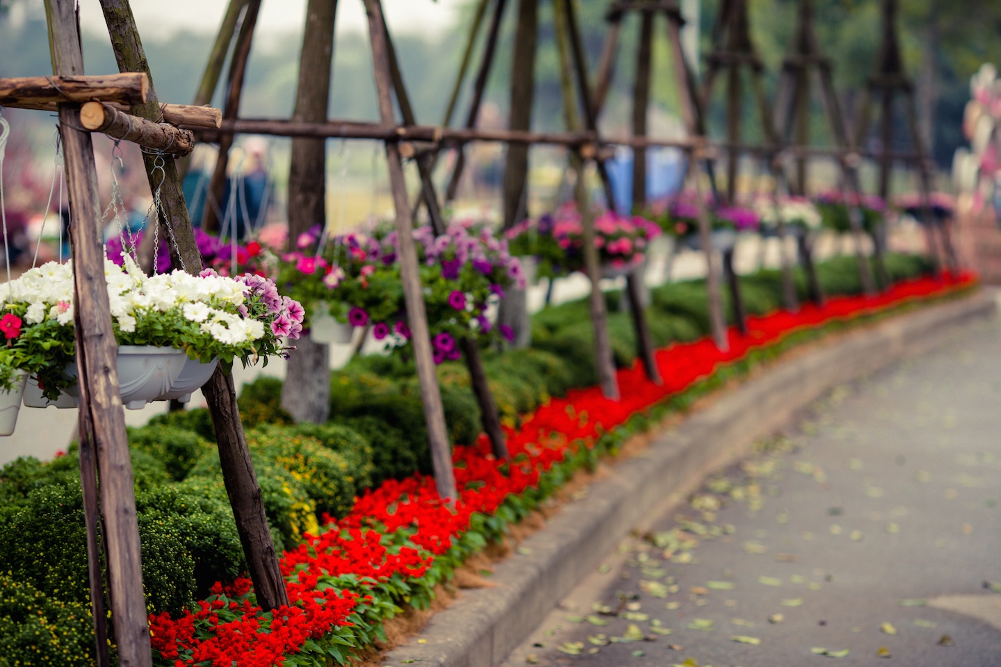 choi xuan o Ecopark anh 2