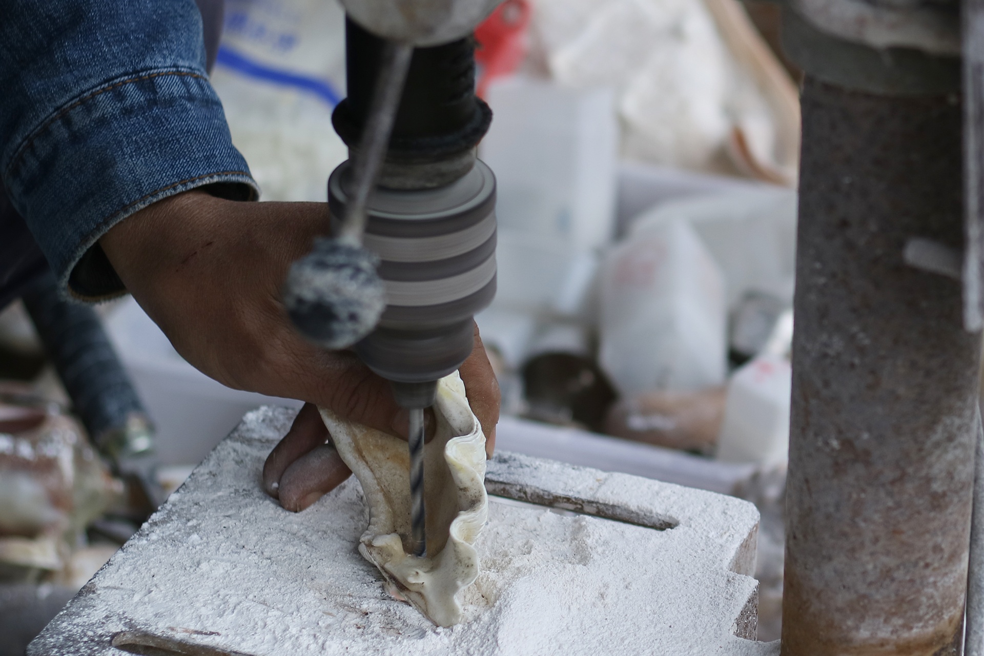 tac pham bonsai vo oc anh 5