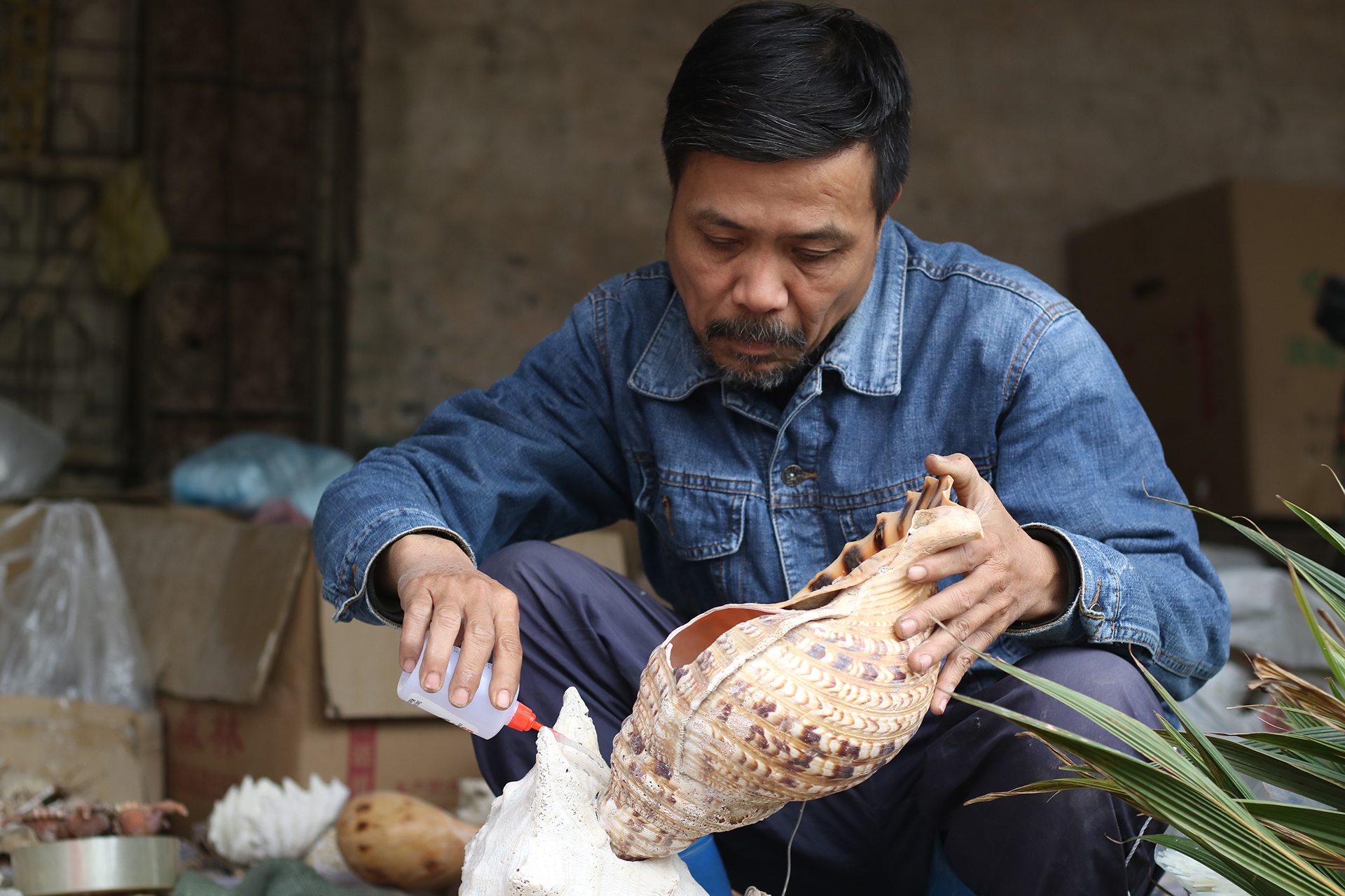 tac pham bonsai vo oc anh 4