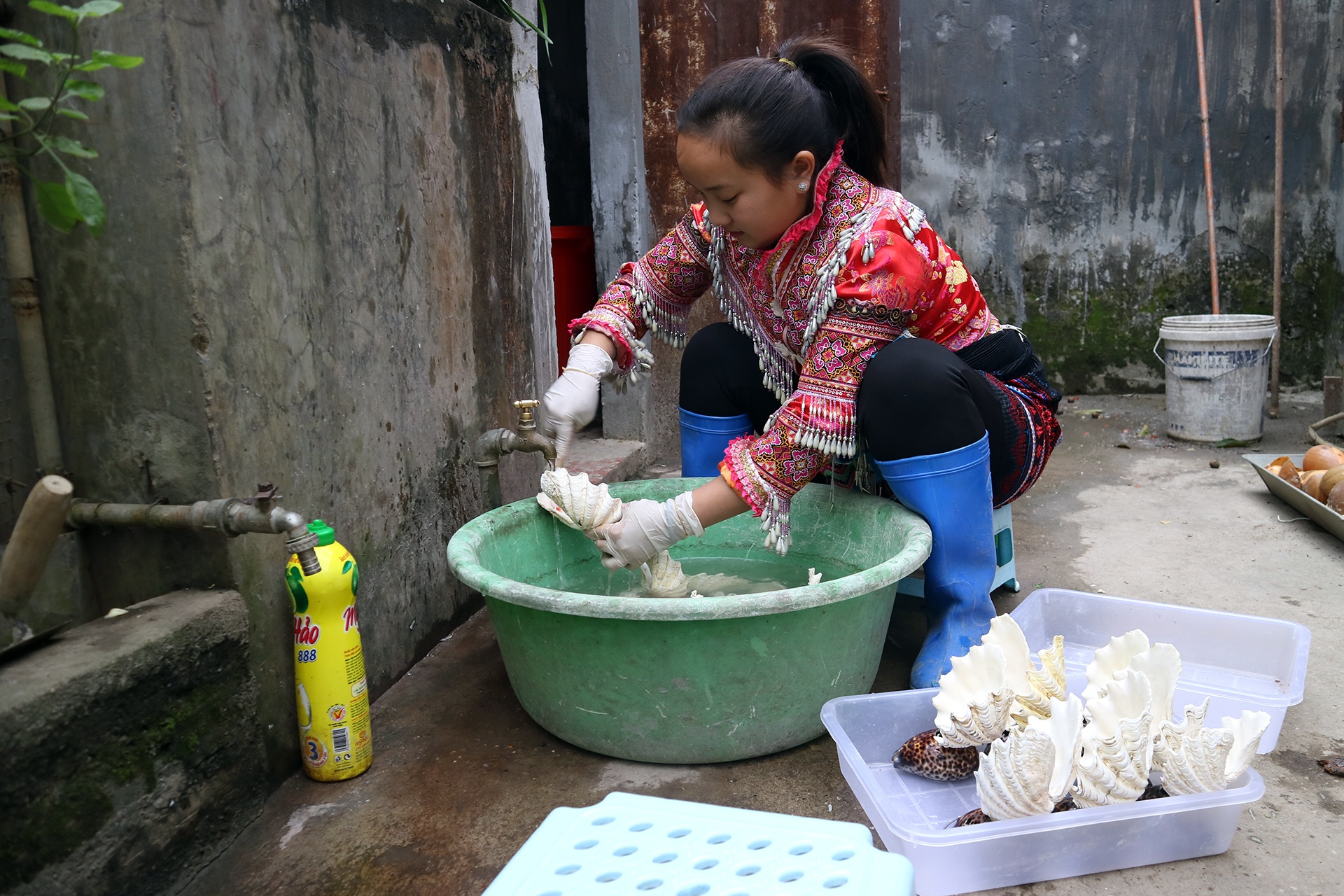 tac pham bonsai vo oc anh 6