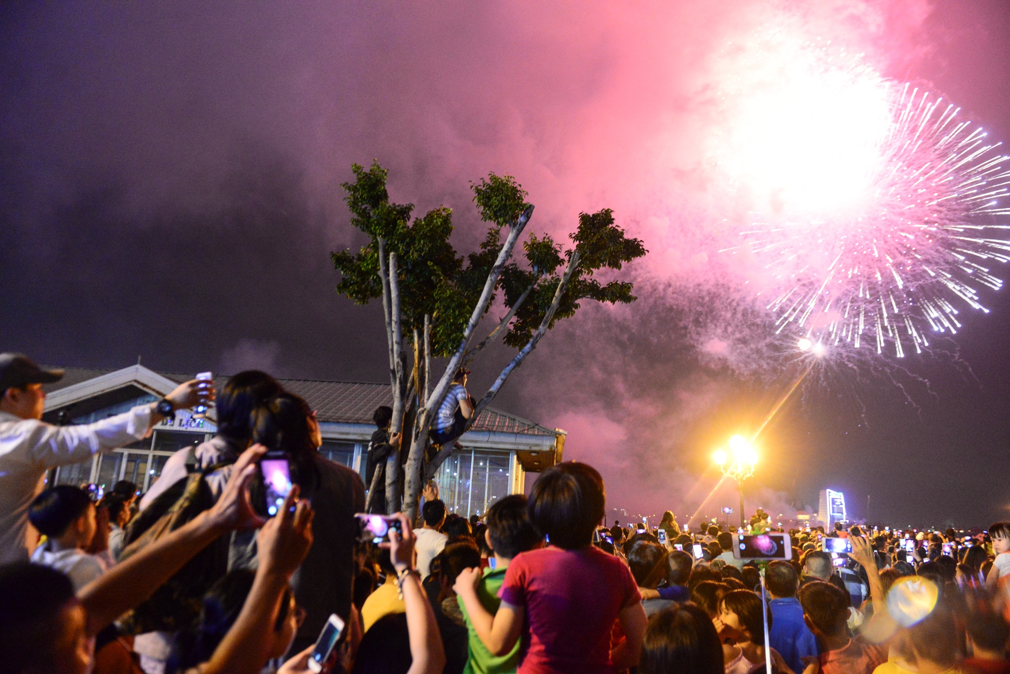 phao hoa chao nam moi anh 10