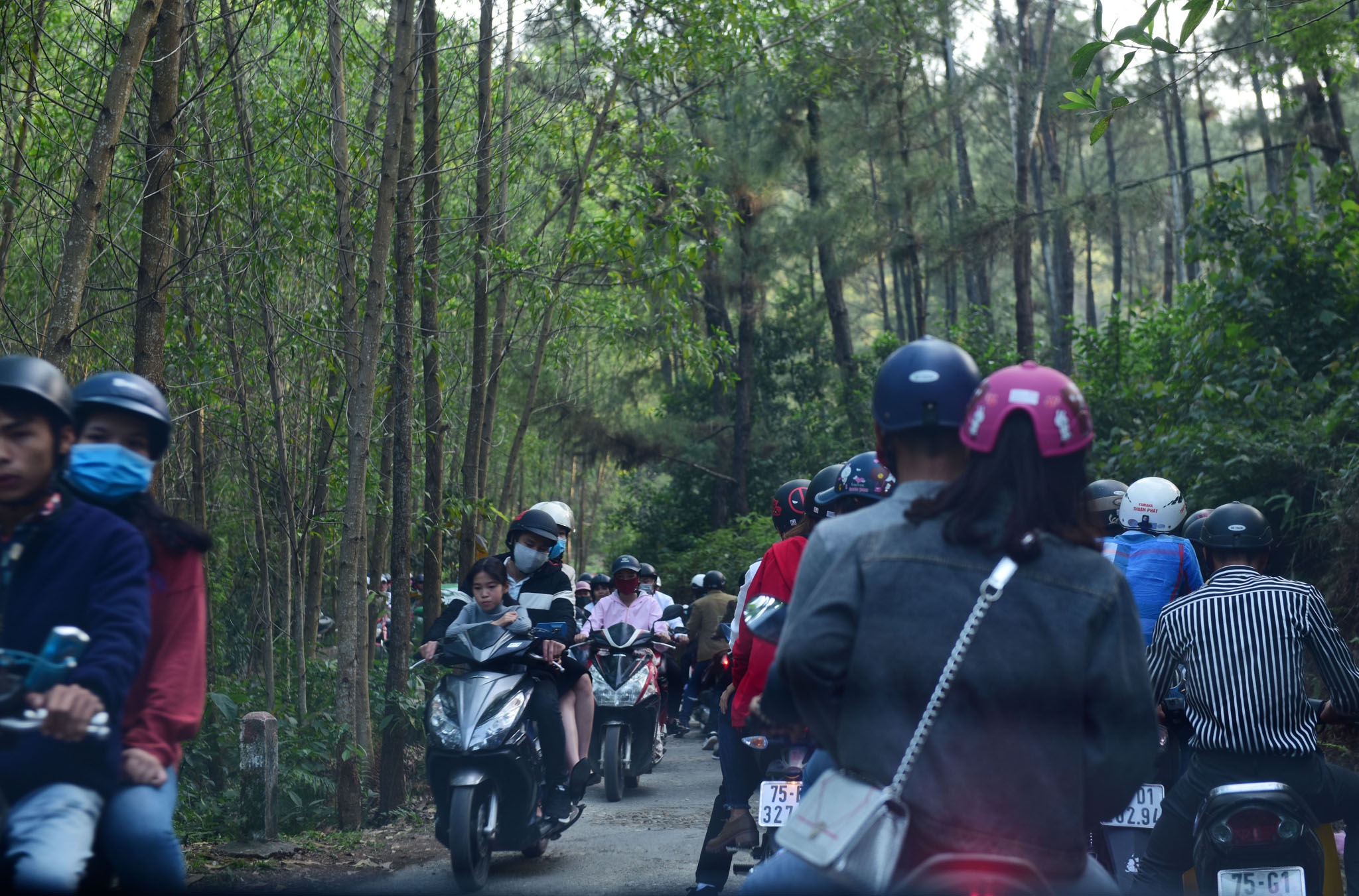 Le chua dau nam anh 1